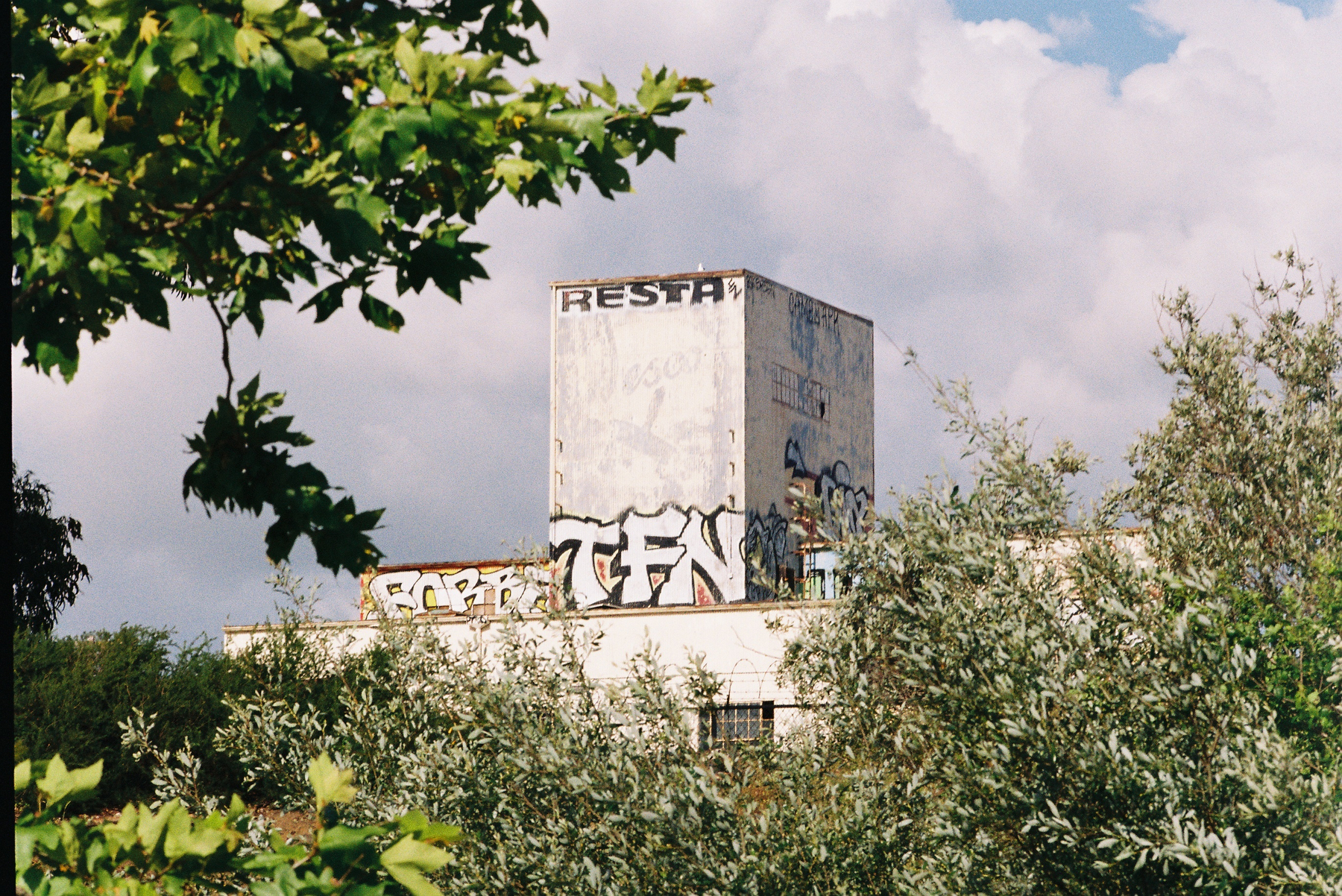 A graffiti-covered building is partially obscured by surrounding trees under a cloudy sky.
