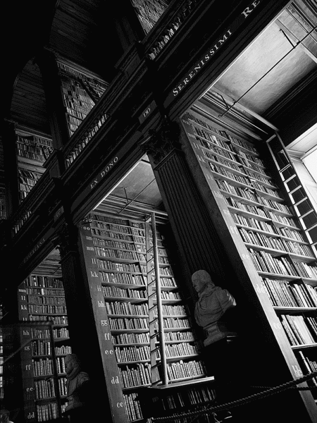 imposing library shelves