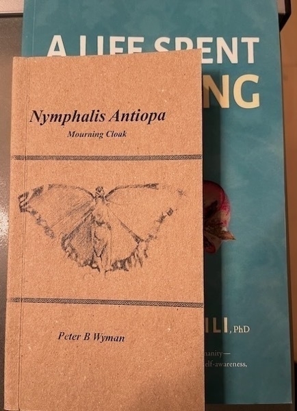 Nymphalis antiopa.