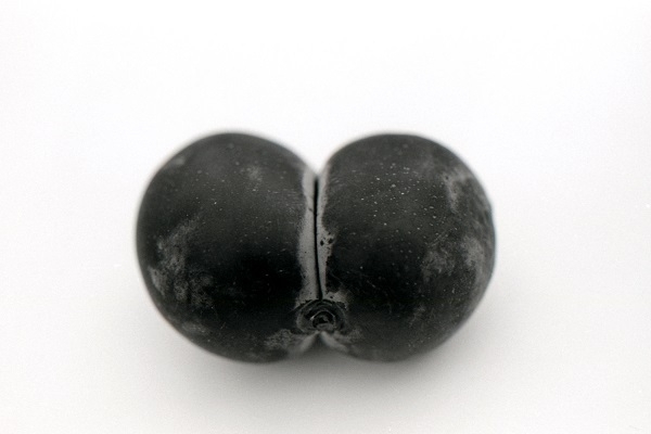 A black & white photo of 'conjoined' plums.