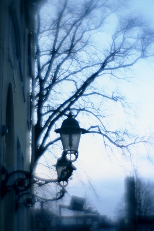 A blurry photograph of some lamps outside a building and a leafless tree.