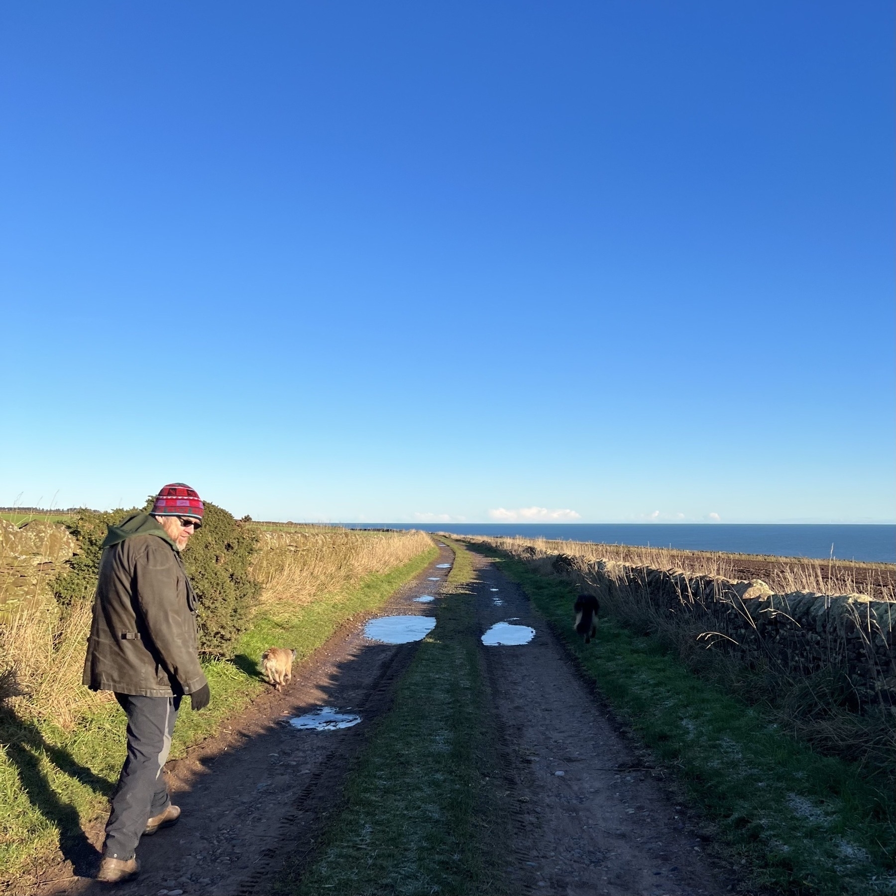 Walking the dogs on a track to Ethie, with the North Sea in the background