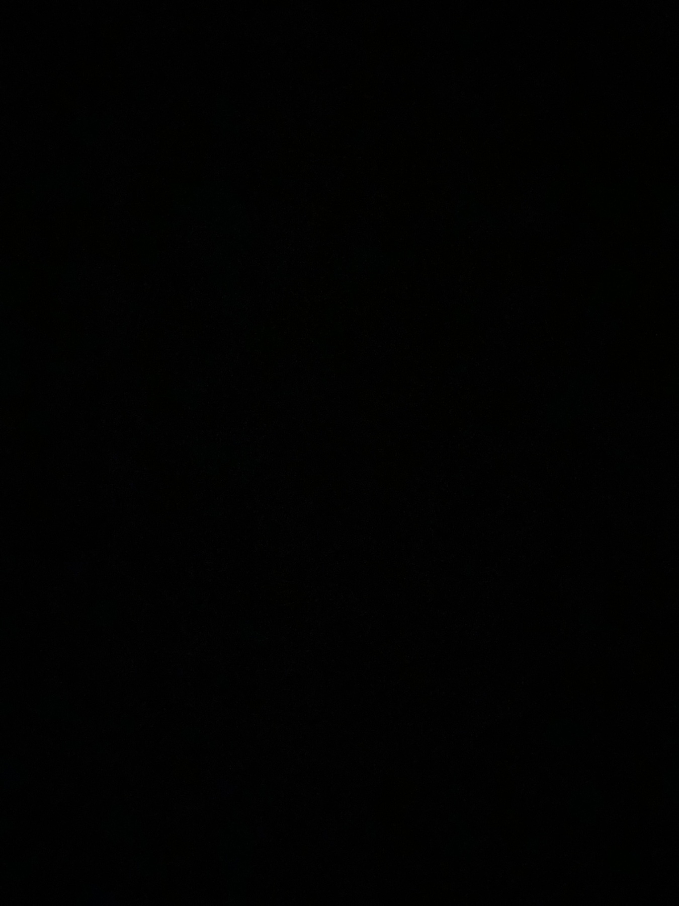 Pitch black photo, nothing is visible. 