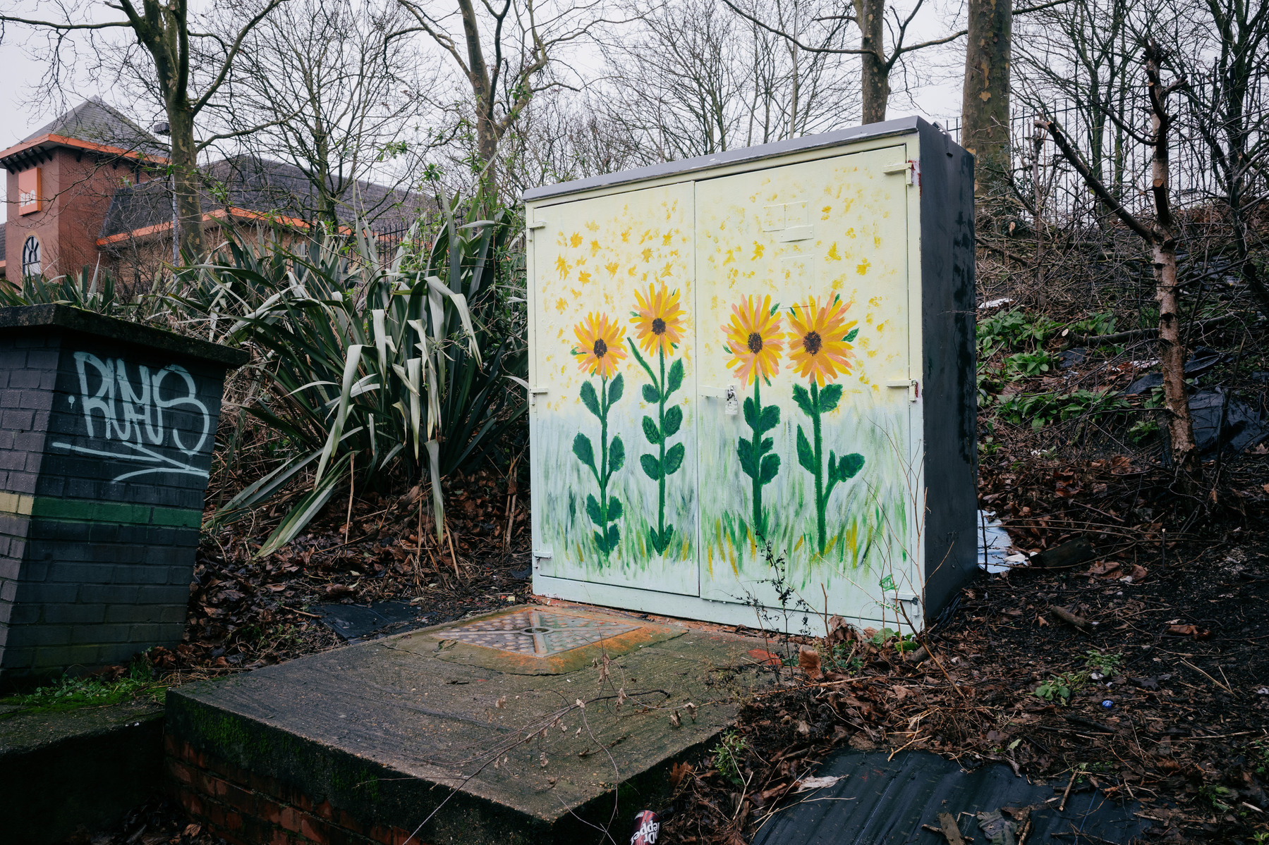 Crude painting of four sun flowers on a white background painted onto the side of a delapidated telecom box in the bleak scrubland beside a carpark