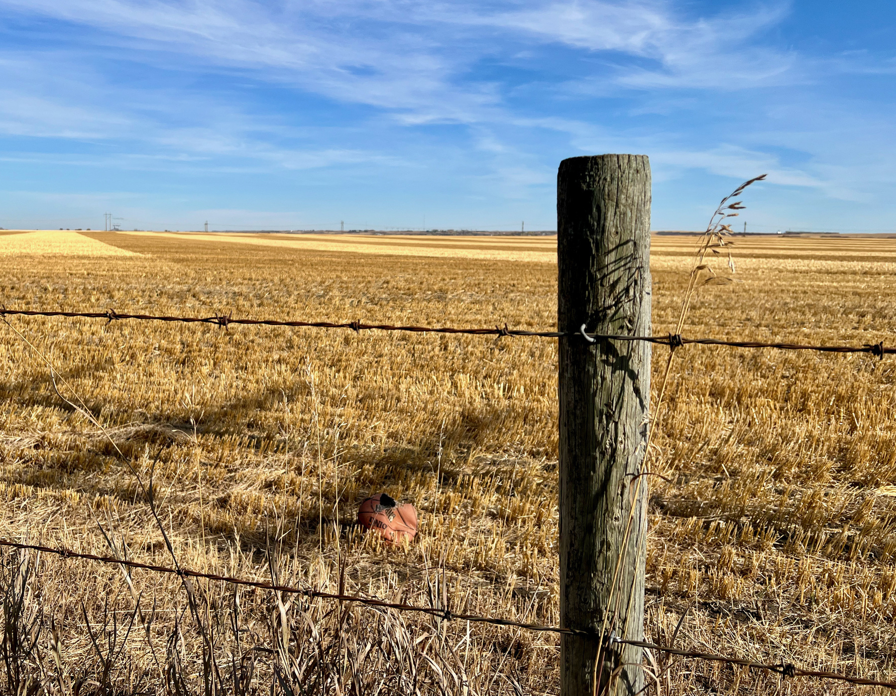 A fence post in the foreground with barbed wire fencing, with a harvested field in the background, and blue skies with a few clouds.