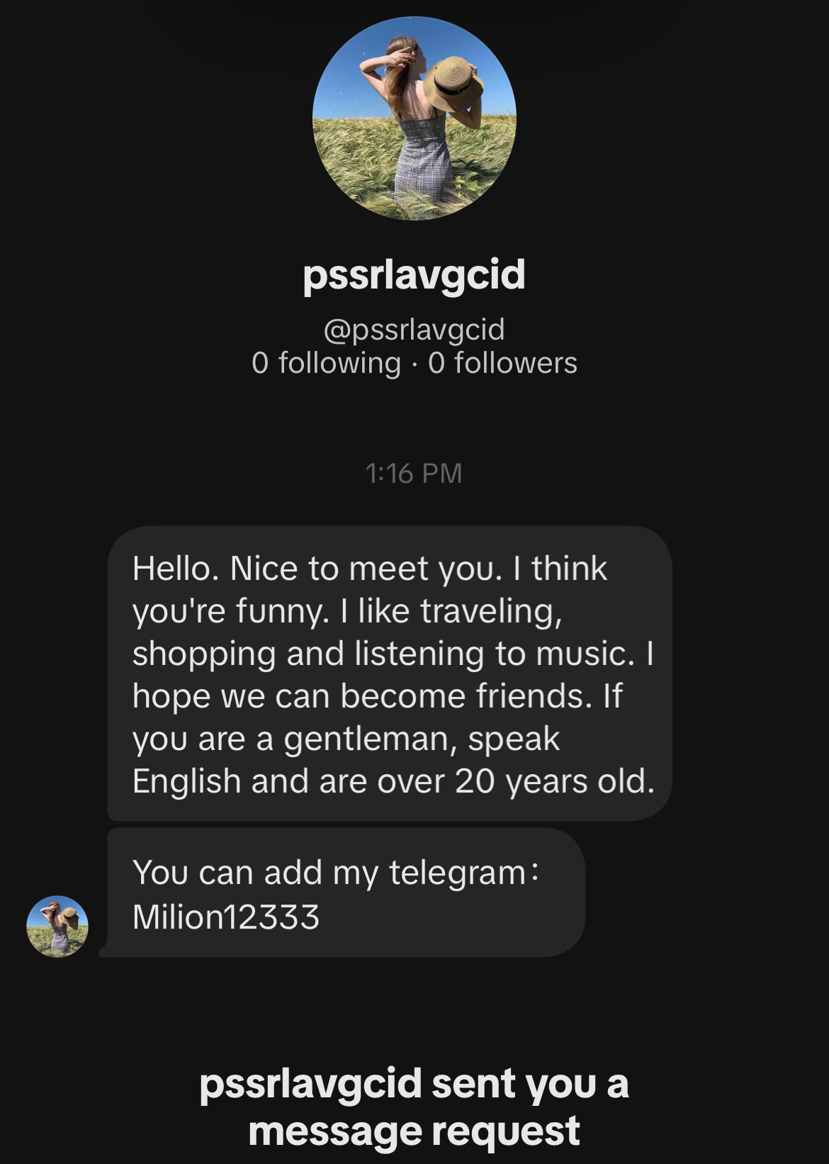 Photo of a dm on TikTok reading Hello. Nice to meet you. I think you're funny. I like traveling, shopping and listening to music. I hope we can become friends. If you are a gentleman, speak English and are over 20 years old.&10;You can add my telegram: