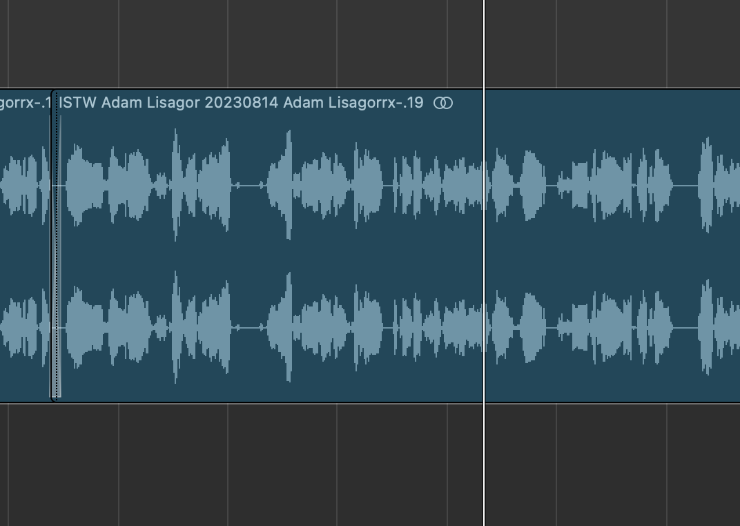 Logic Pro X screenshot of a track showing a audio waveform with the filename of "Adam Lisagor" above it.