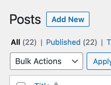 Screenshot of WordPress admin with 22 posts showing.