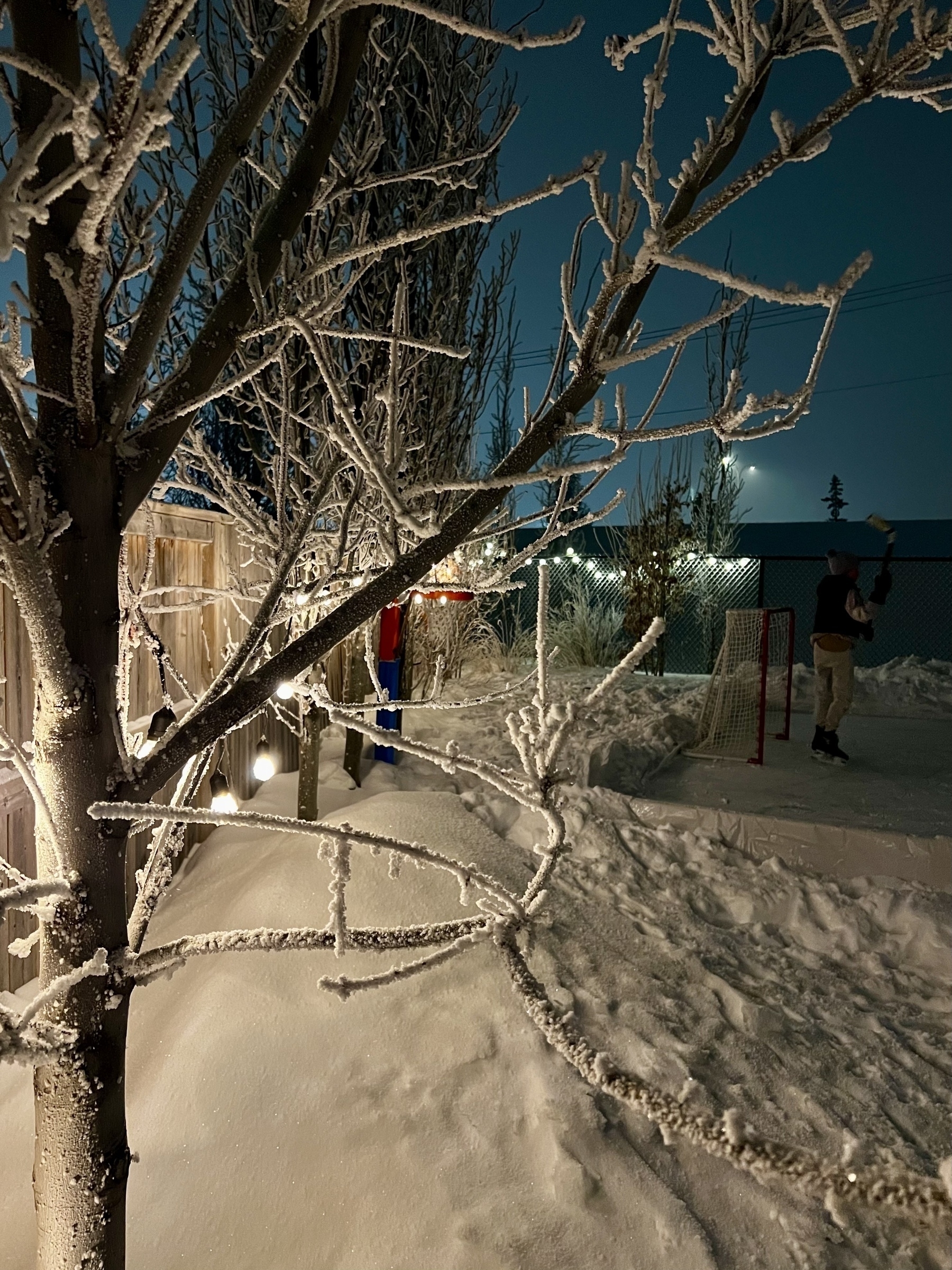 A snowy nighttime scene features a frost-covered tree, glowing lights, and a person playing hockey in the background.