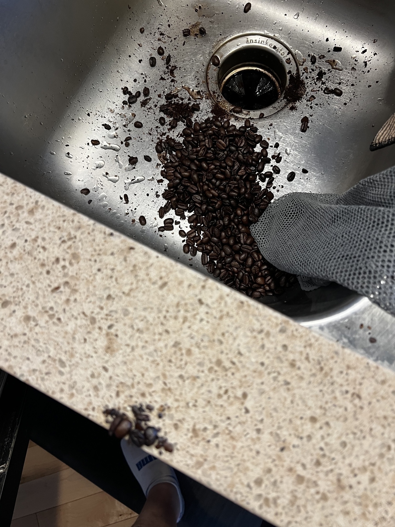 Coffee beans spilled in the sink