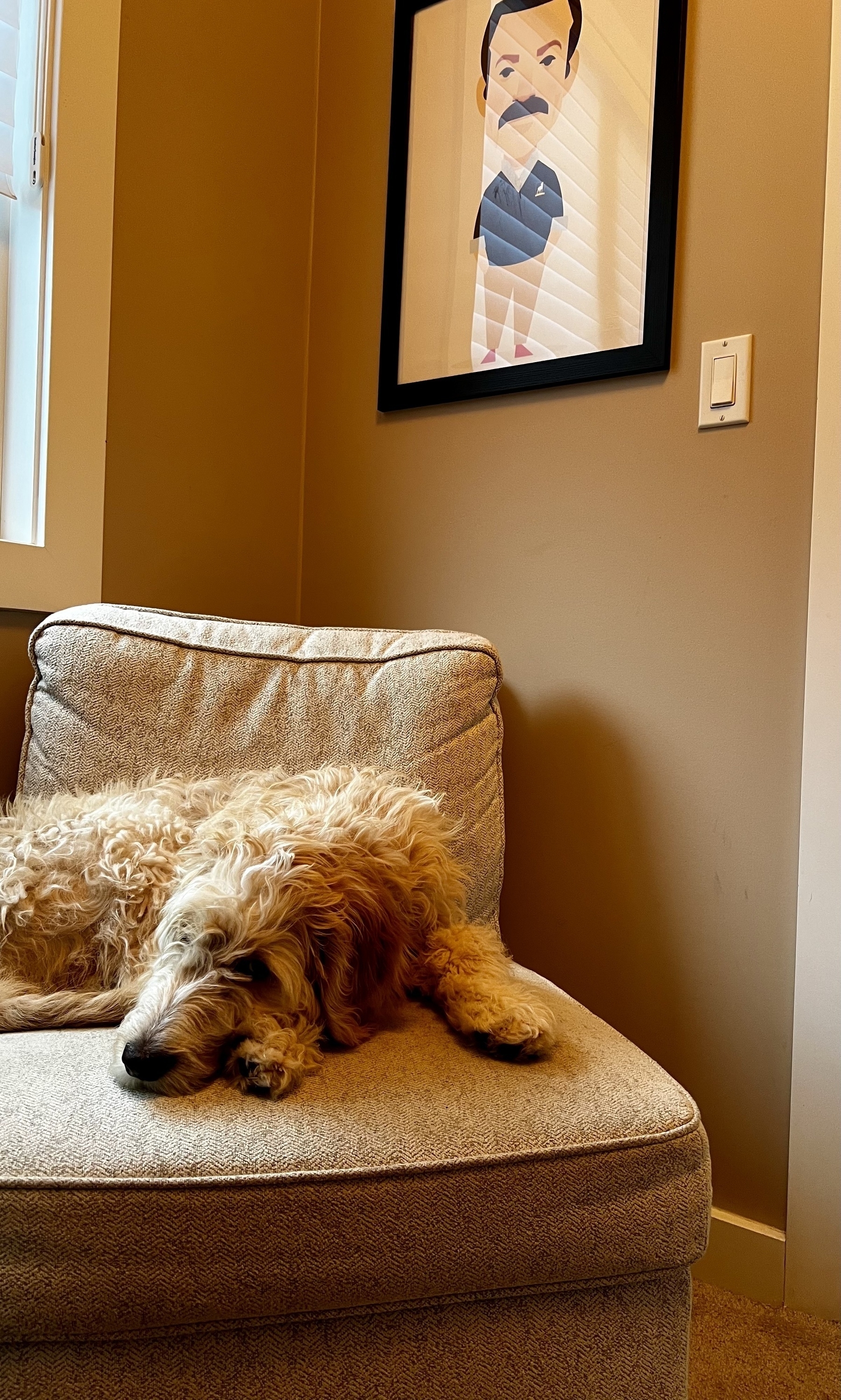 A fluffy puppy (Neville Dogbottom) is sleeping on a beige chair beneath a framed cartoon illustration of Ted Lasso on the wall.