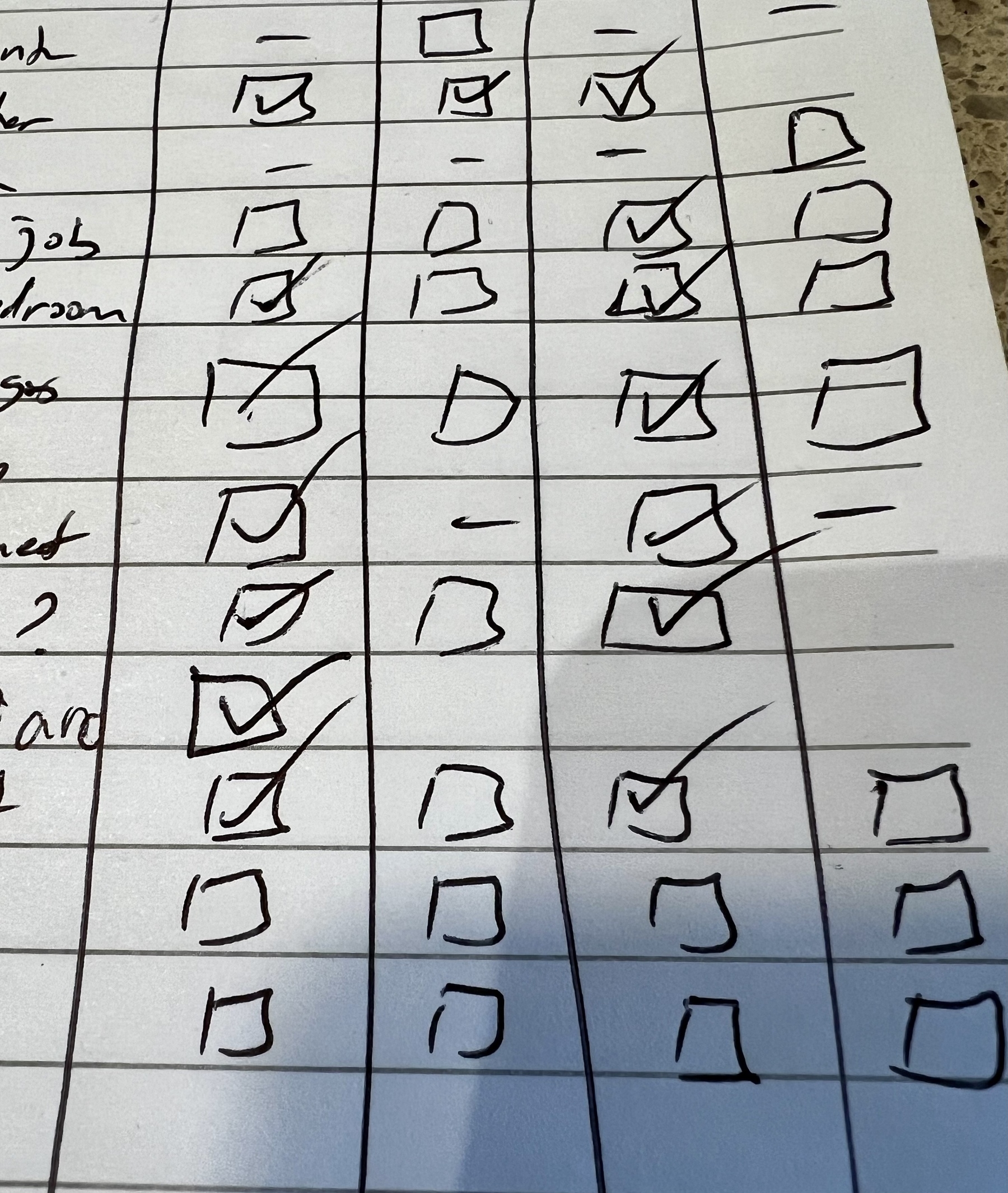 A hand written list with four columns and checkboxes in each row, half of which are checked. 