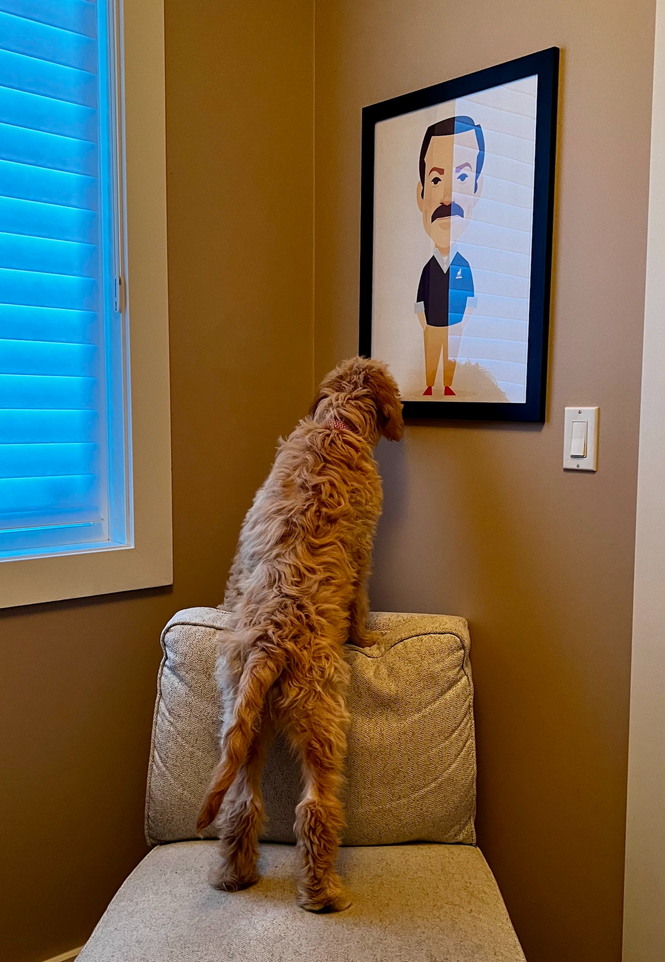 Neville, our golden doodle puppy, standing on a chair smelling a Ted Lasso picture on the wall of my office.