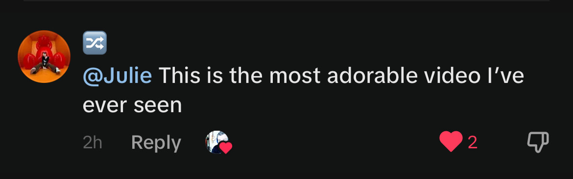 A comment on tiktok reading “Julie this is the most adorable video I’ve ever seen” 