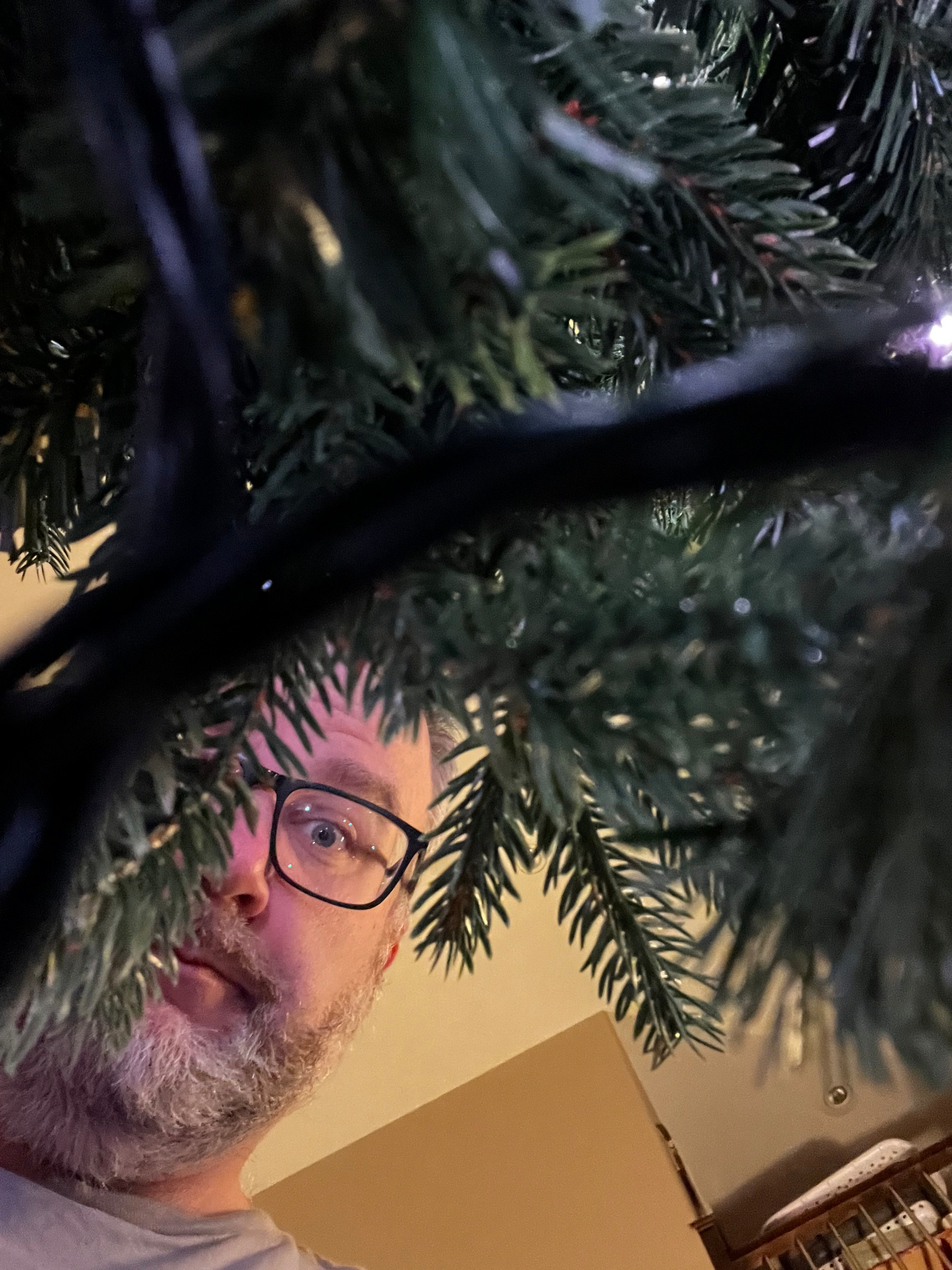Selfie of me taken through the branches of our Xmas tree. (Fake)