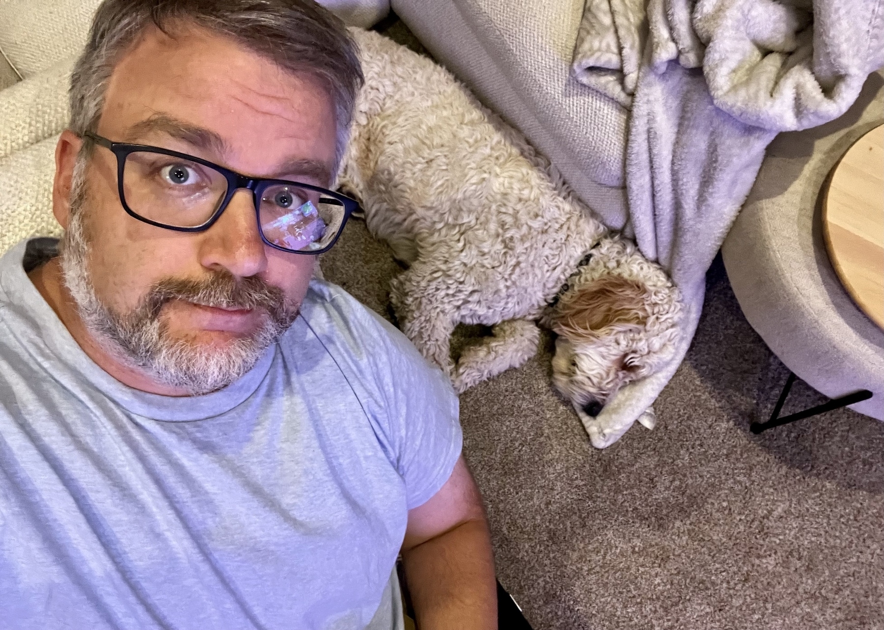 A man with glasses takes a selfie while sitting next to a fluffy dog lying on the floor by a couch.
