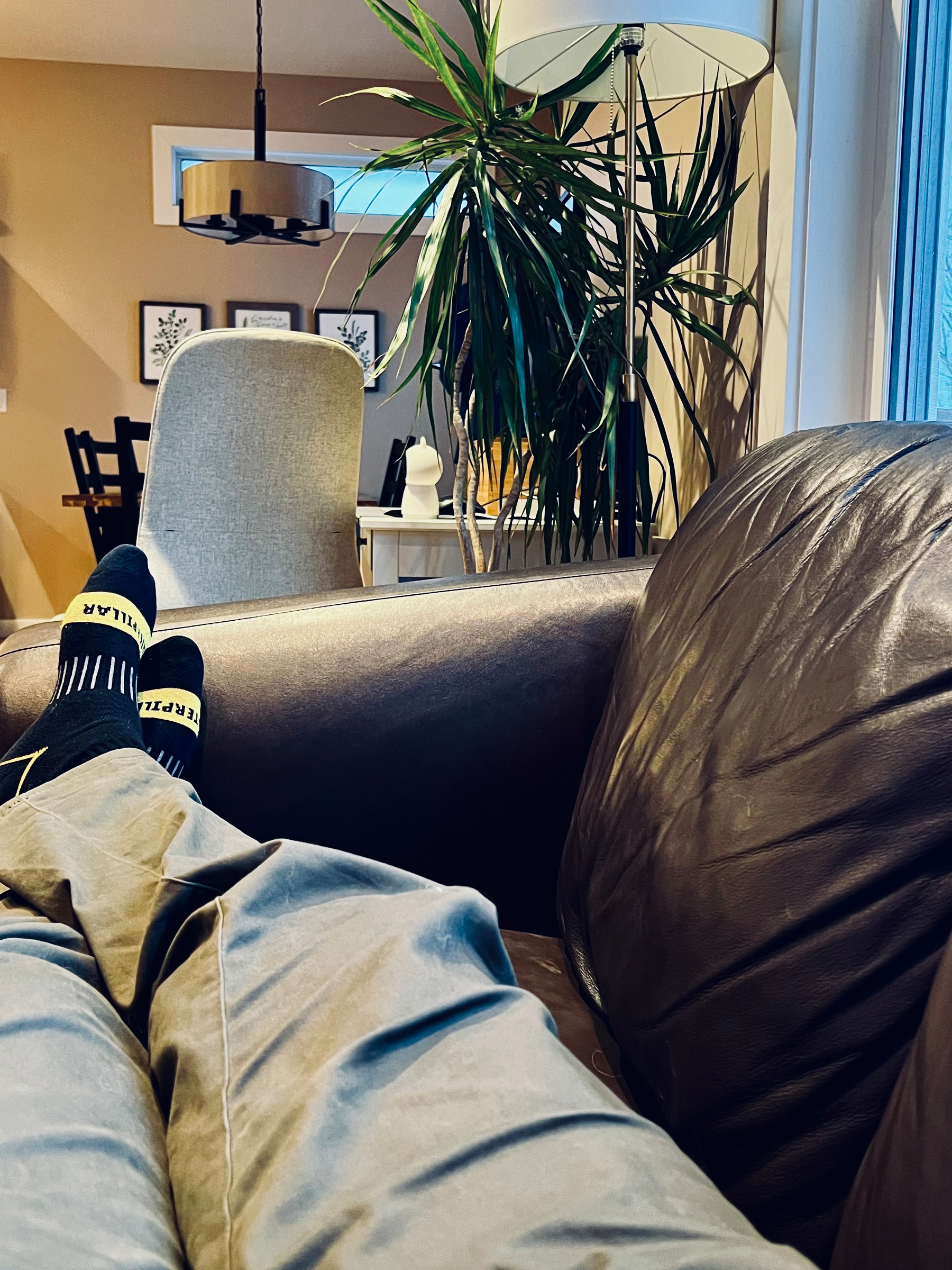 A person wearing regular patterned socks is reclining on a brown couch in a cozy living room with a lamp, a tall plant, and dining table visible in the background.