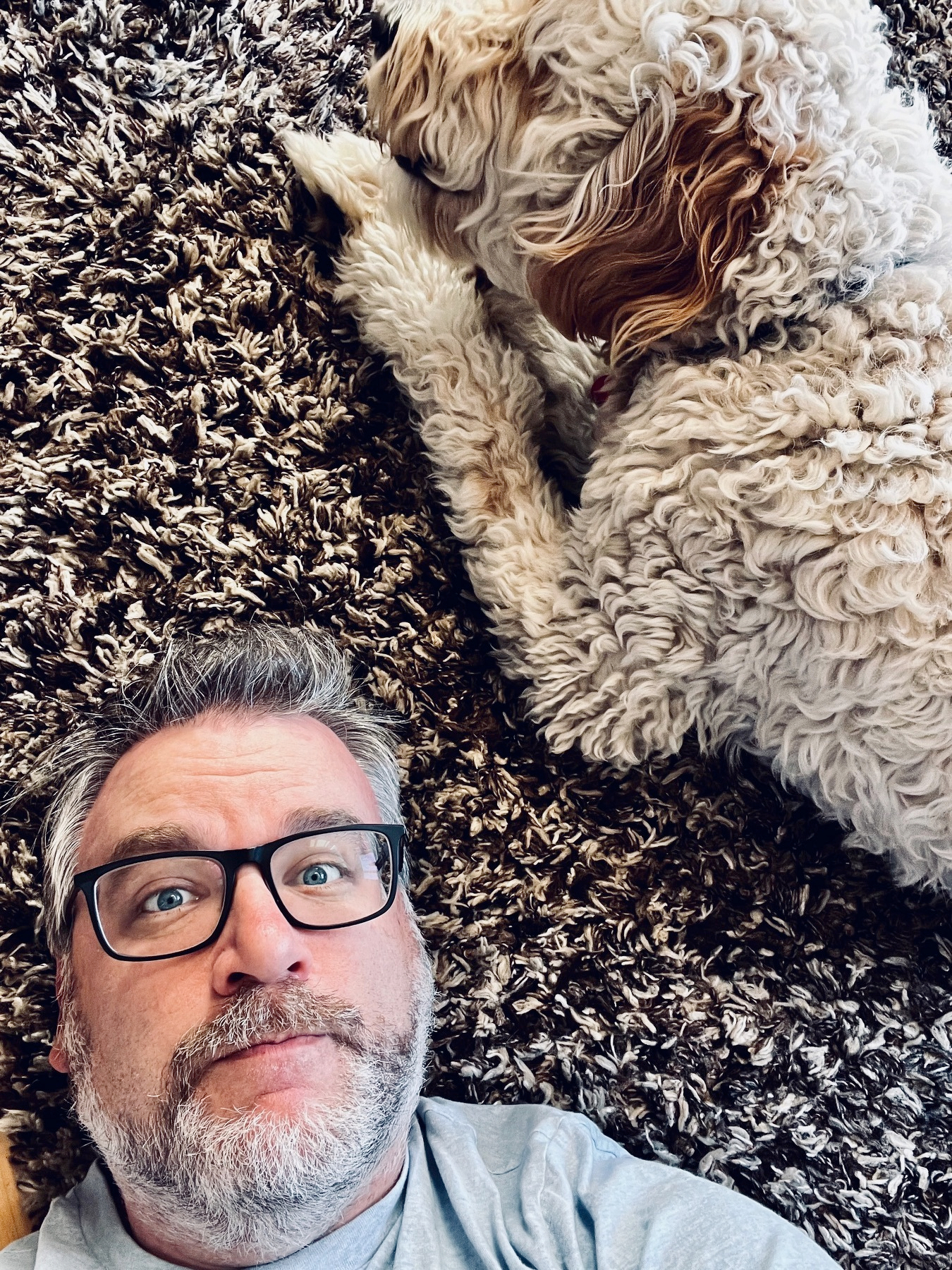 A person with glasses lies on a shaggy rug next to a fluffy dog.