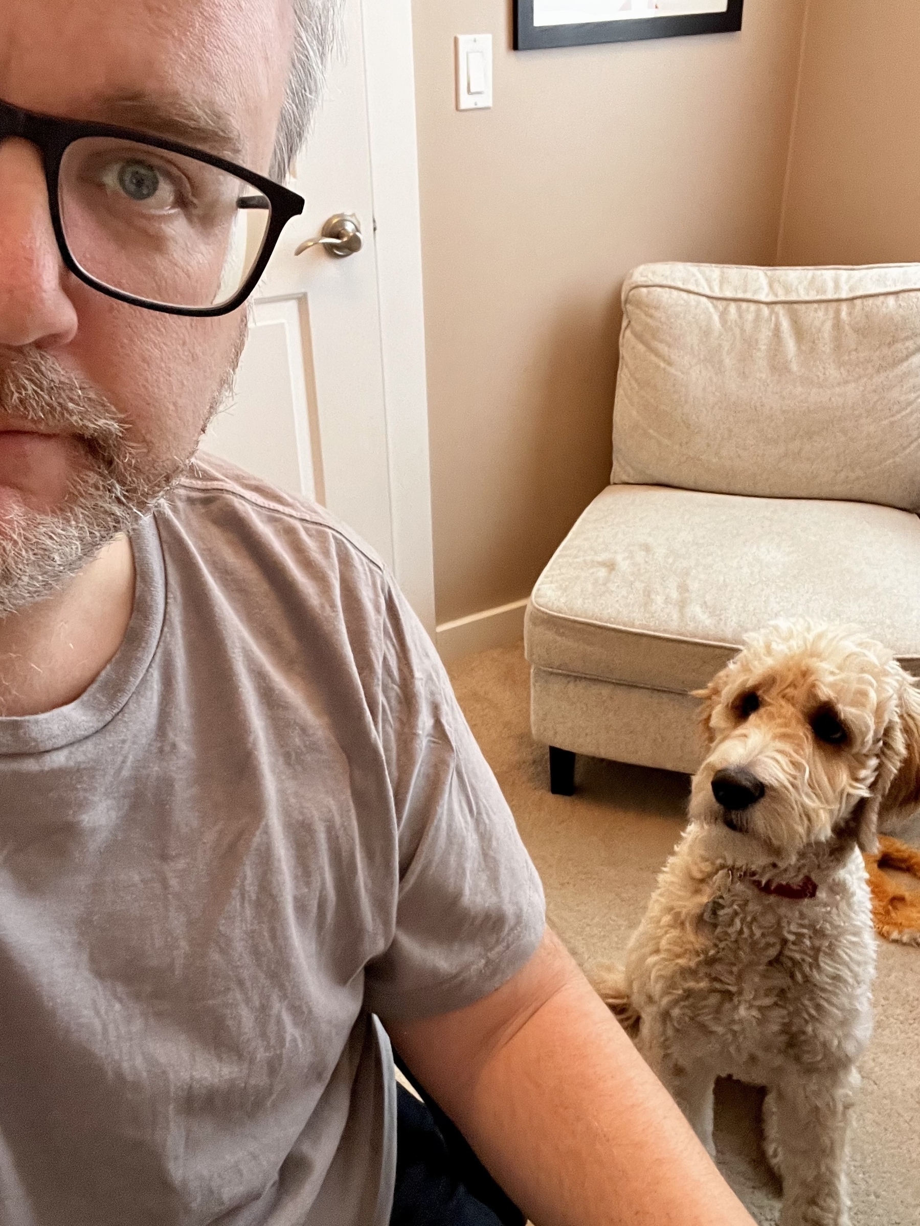 A man wearing glasses is sitting indoors with a dog looking at him beside a cream-colored chair.