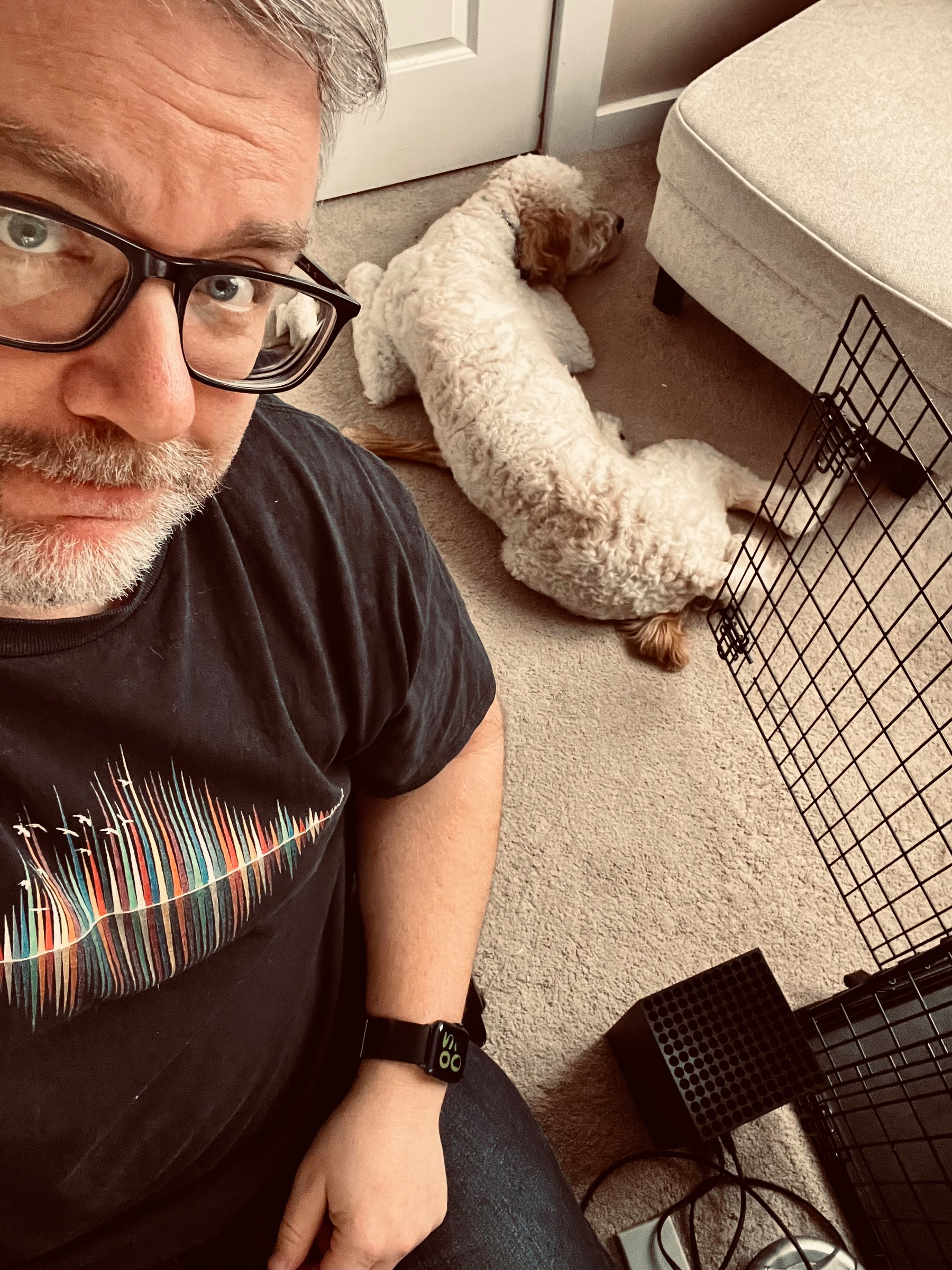 A person wearing glasses sits on the floor near a relaxed dog, with a black crate partially visible.