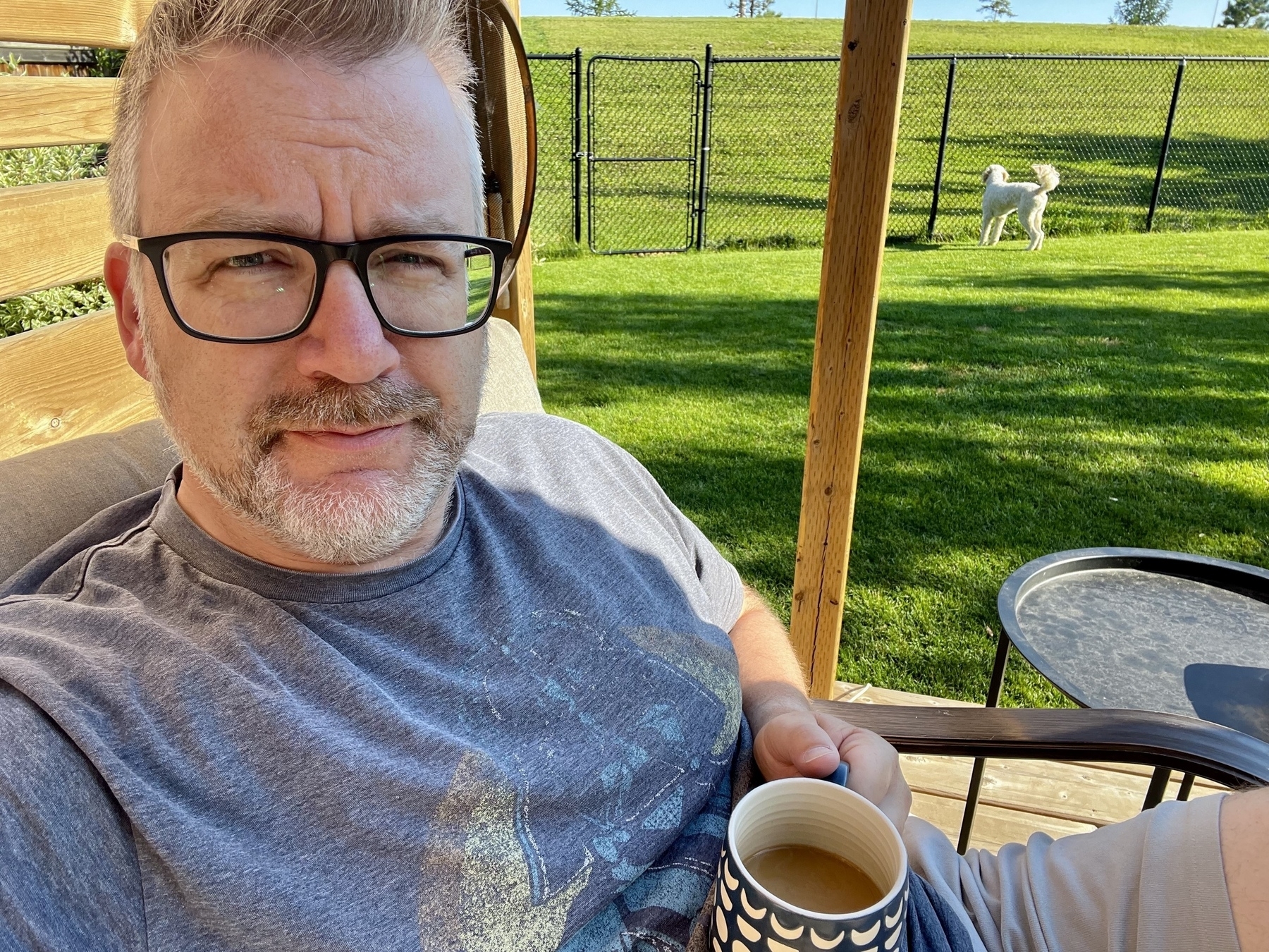 A person relaxes on a porch with a mug, while a dog stands on the grassy lawn near a fence.