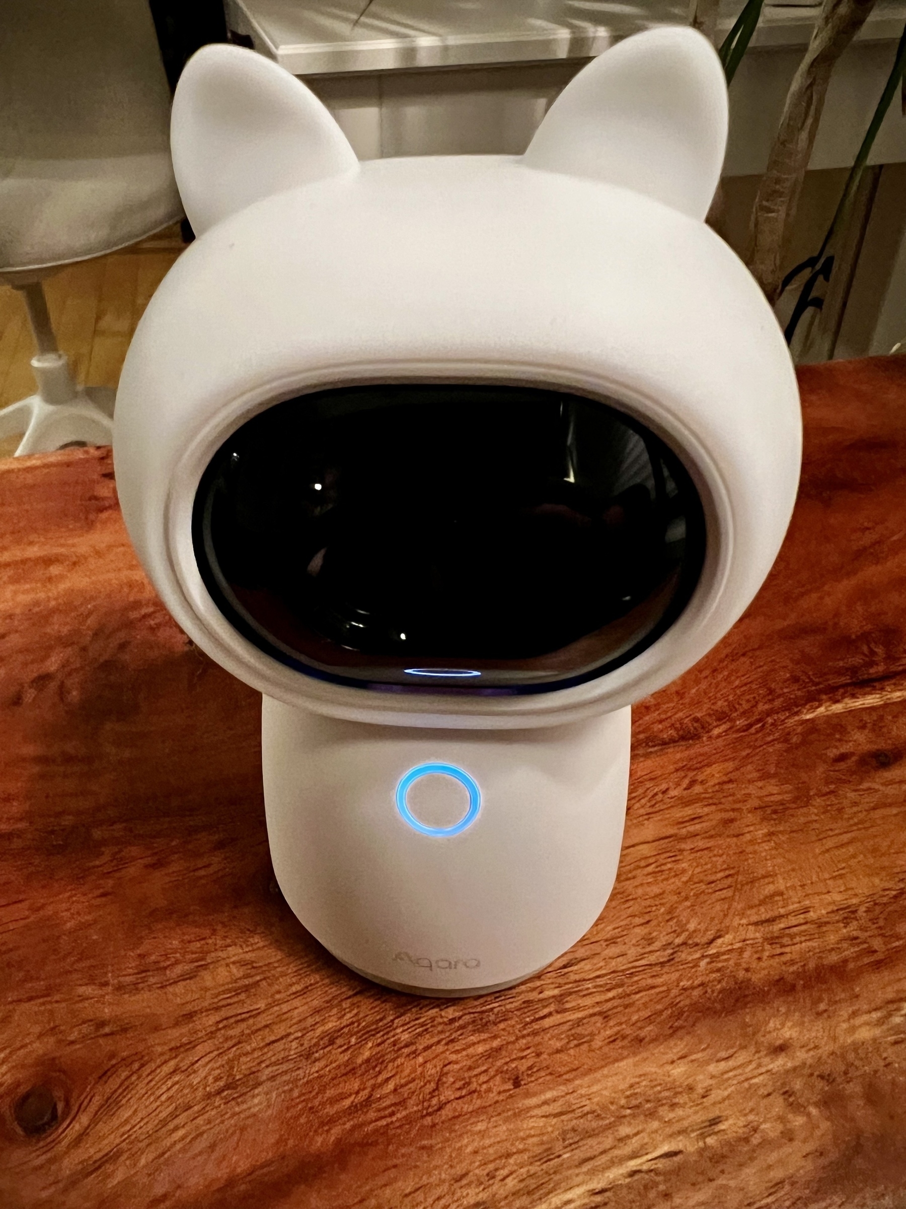 A cute, futuristic security camera with cat-like ears and a glowing circular button is sitting on a wooden surface.