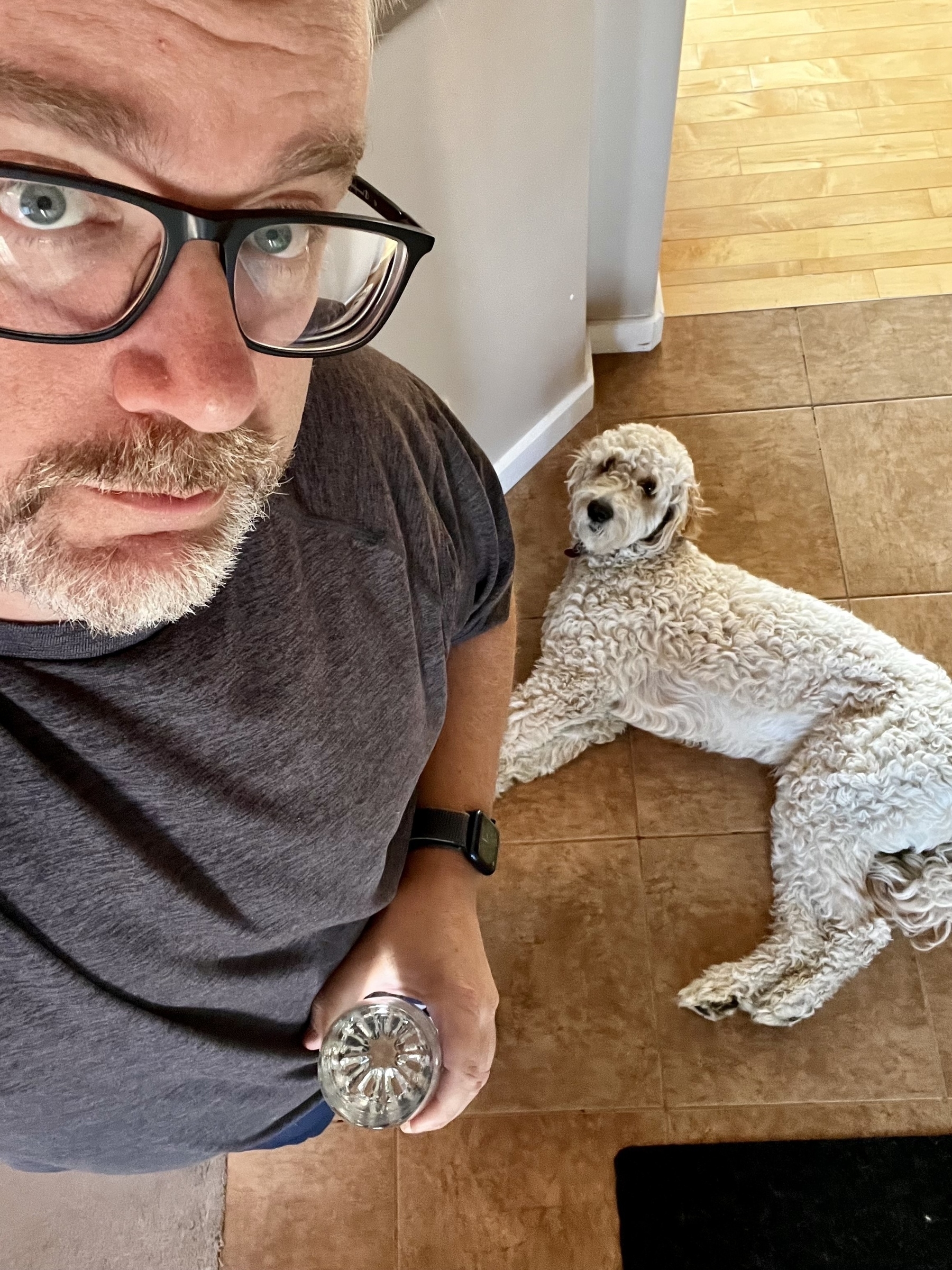A man with glasses is holding a drink and looking at the camera while a white curly-haired dog lies on the floor beside him.