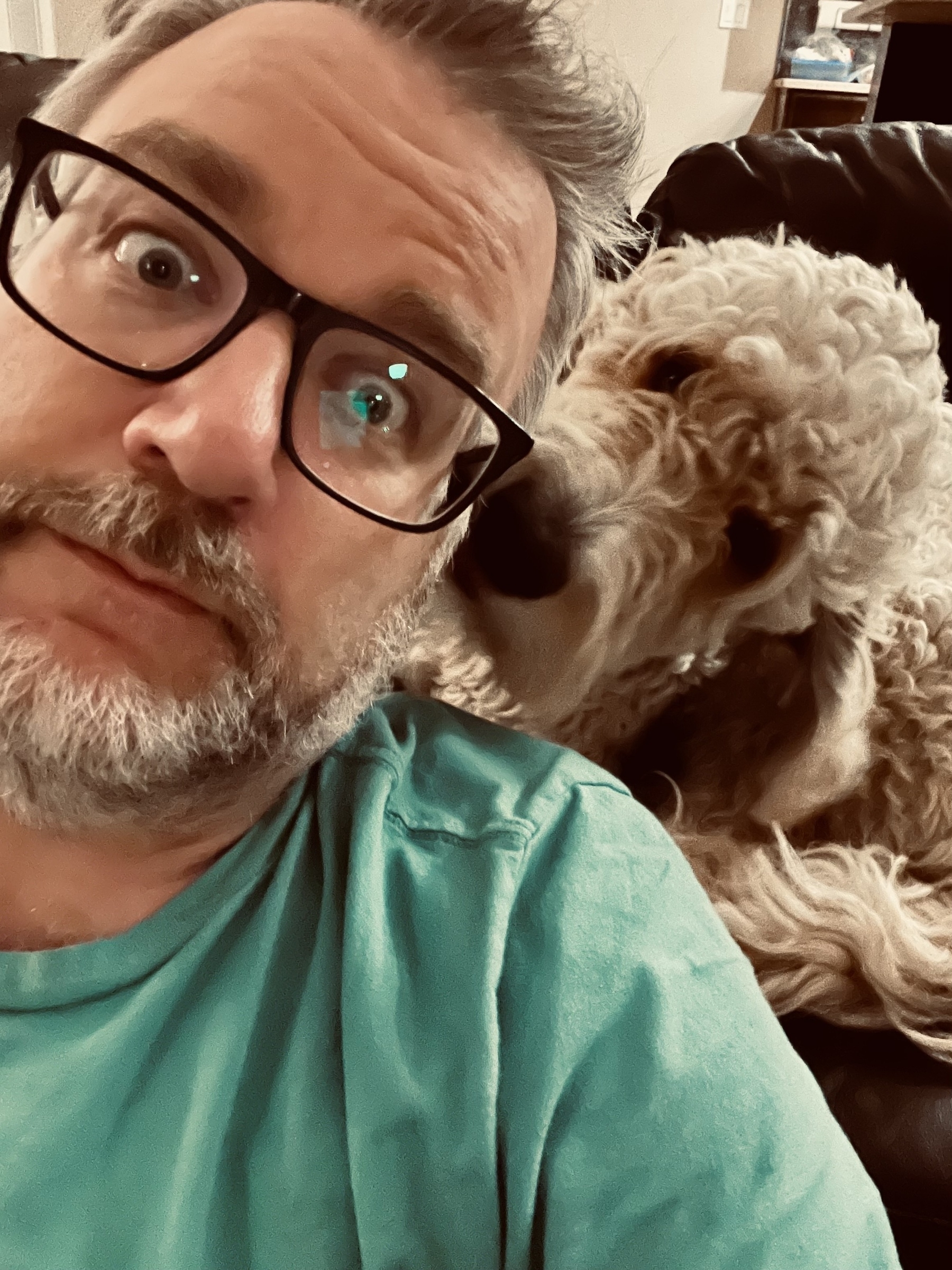 A man with glasses and a beard is sitting next to a fluffy dog on a couch.