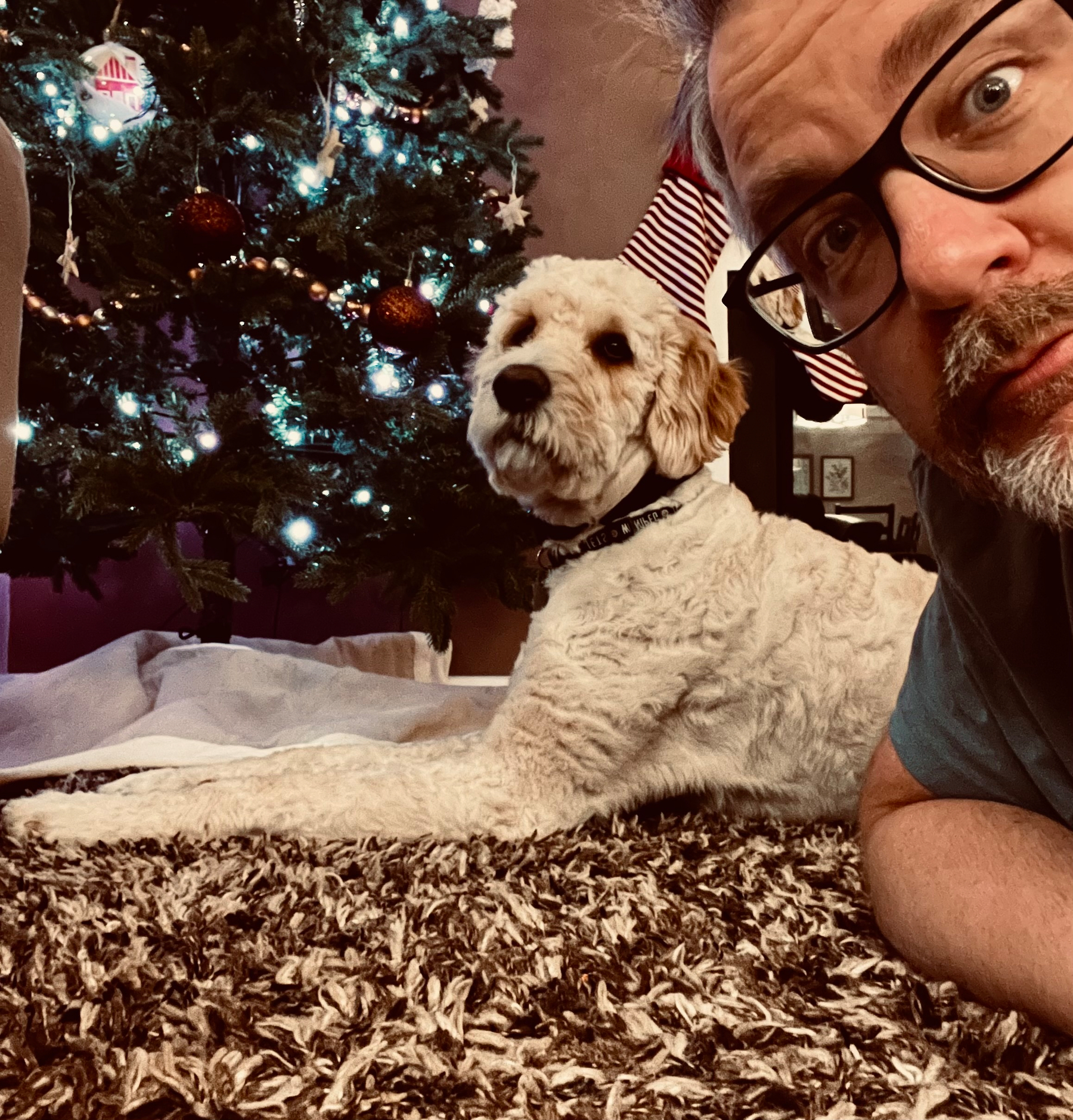 A man wearing glasses is lying on the floor with a fluffy dog in front of a decorated Christmas tree.