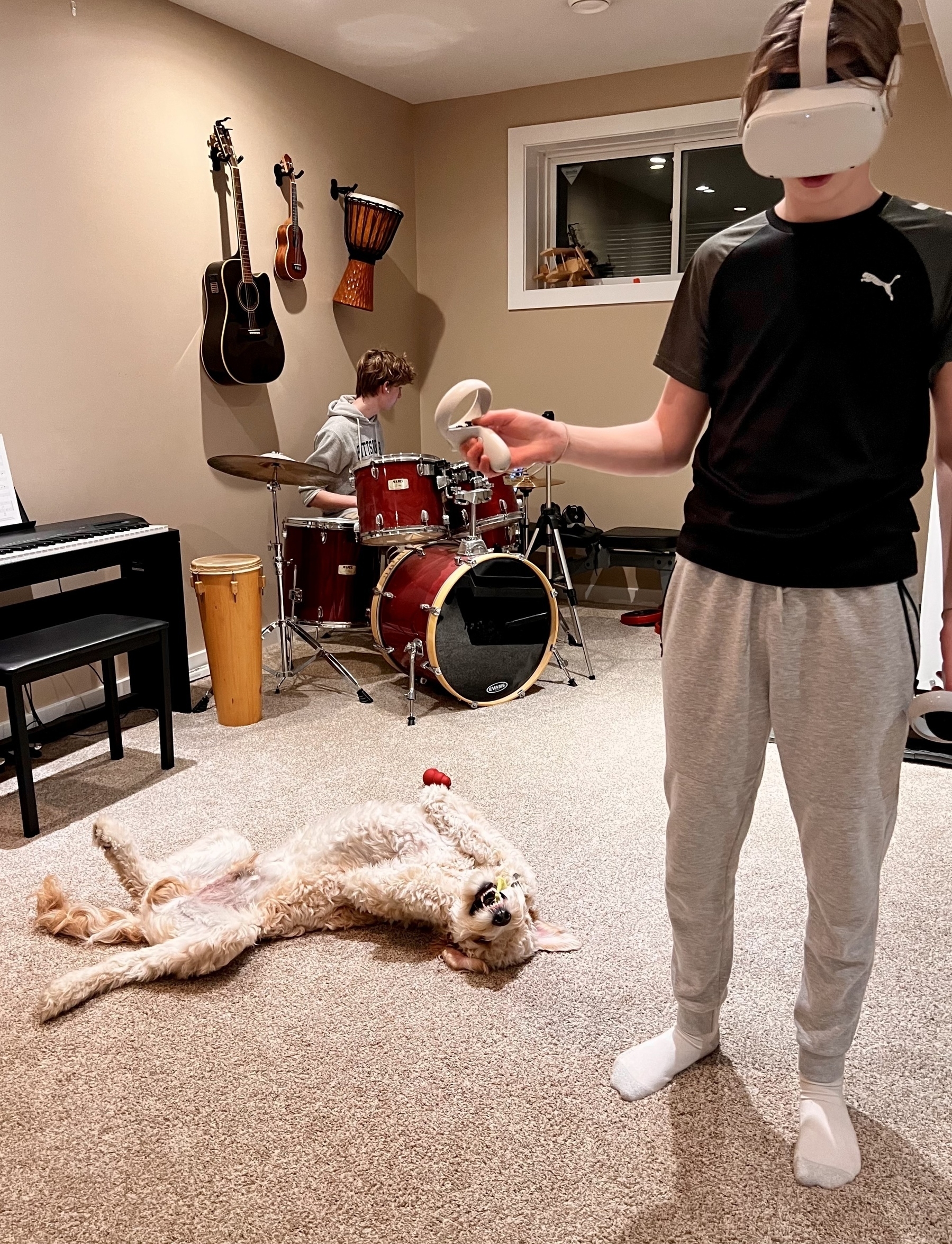 Two people are in a room with musical instruments, one playing drums and the other using a VR headset, while a dog lies on its back on the carpet.