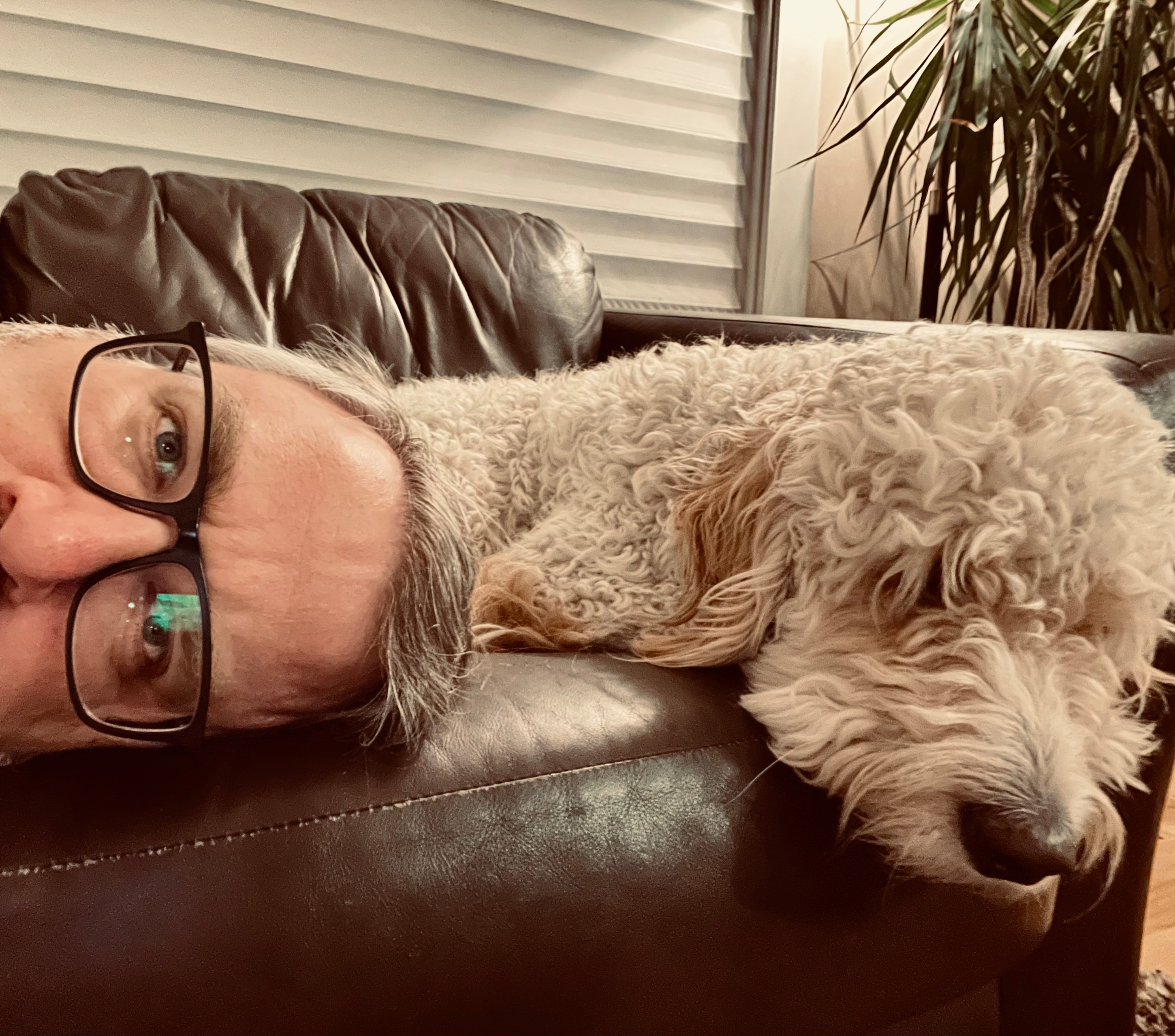 A person wearing glasses and a dog are lying on a dark leather couch, both resting their heads on the cushion.