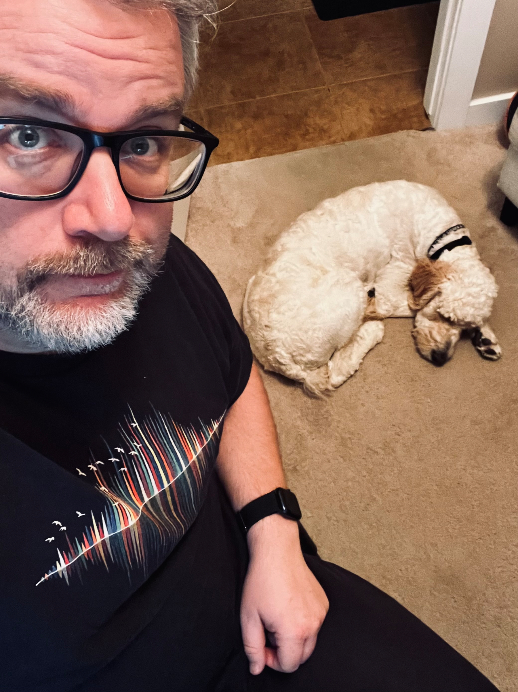 A person with glasses is sitting on the floor next to a sleeping dog.