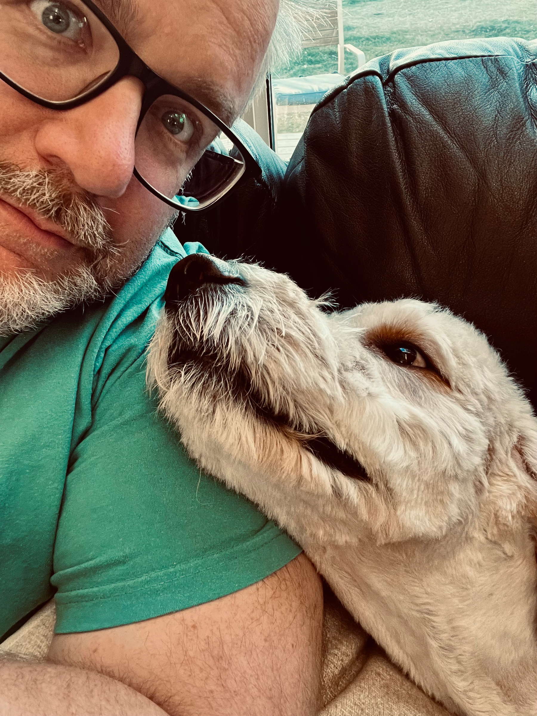 A person with glasses is closely interacting with a dog on a couch.