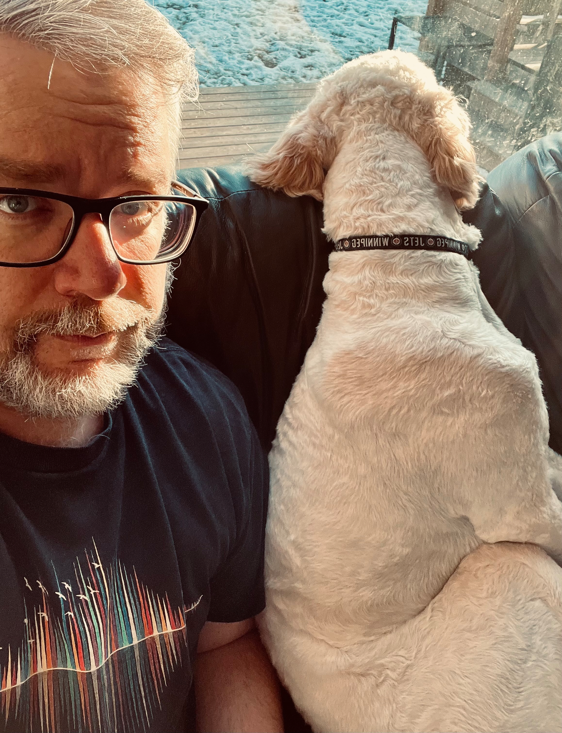 A person with glasses and a beard is sitting on a couch next to a dog looking out the window.