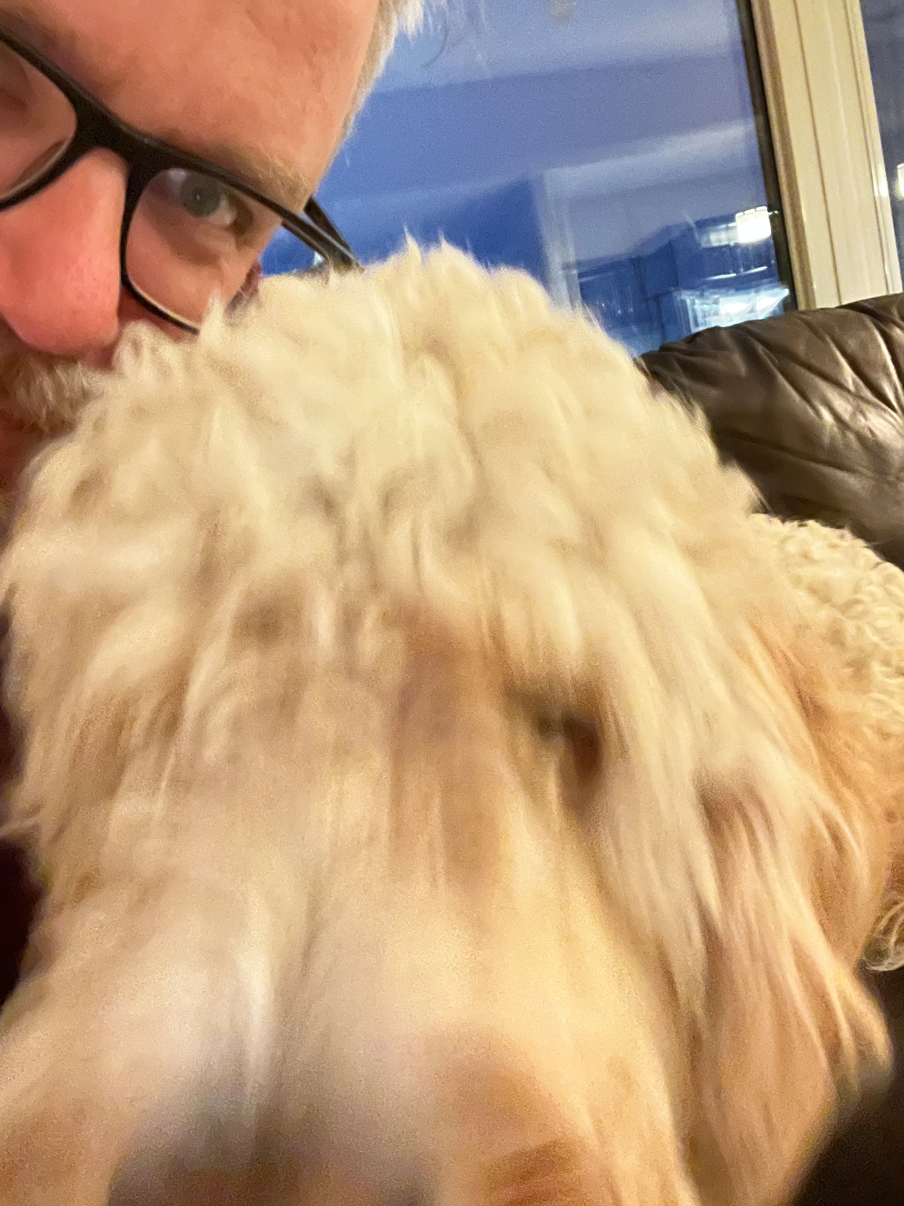 A person with glasses is close to a golden, curly-haired dog indoors.