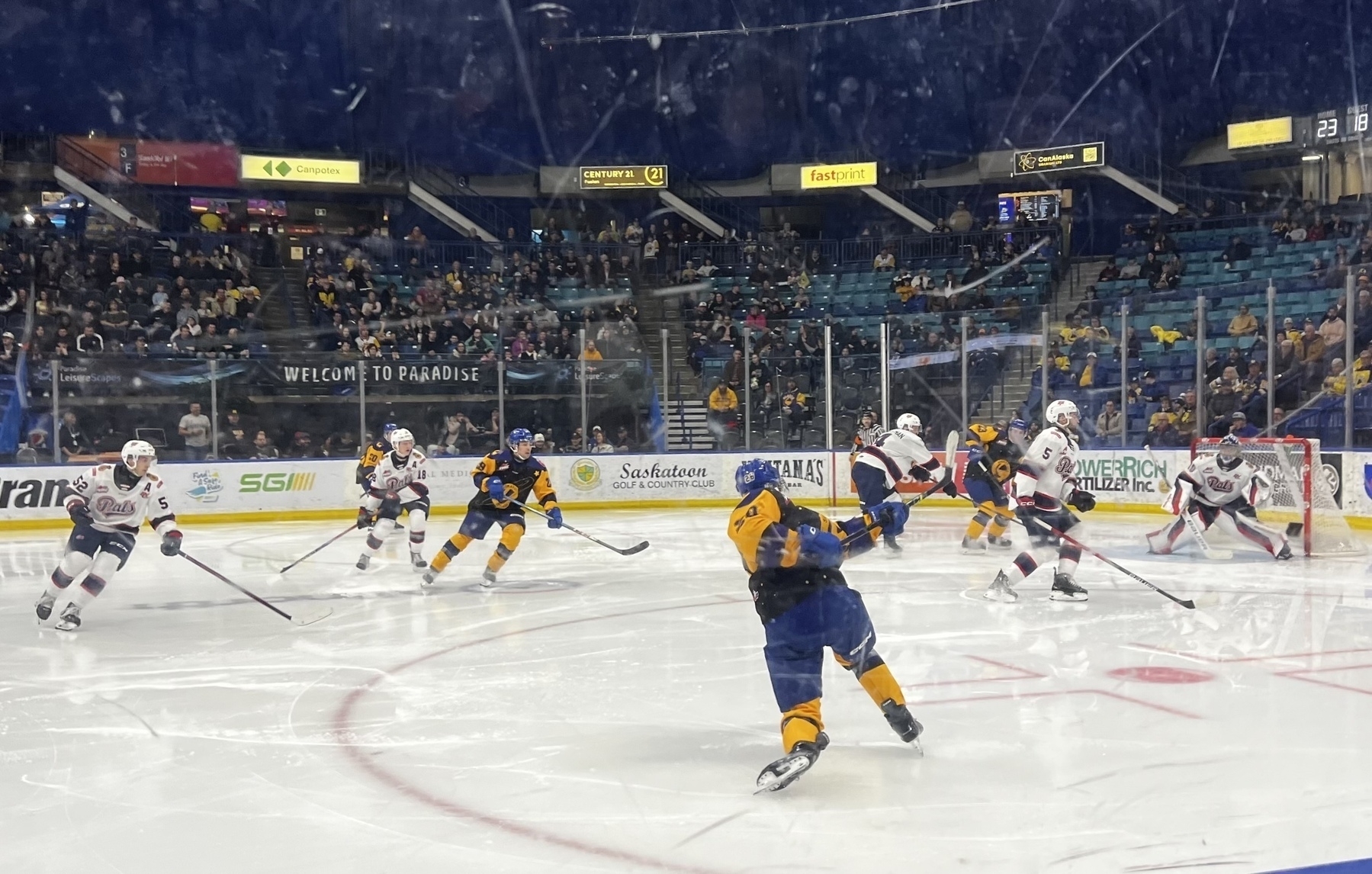 Ice hockey players in action on the rink during a game, with spectators in the background.