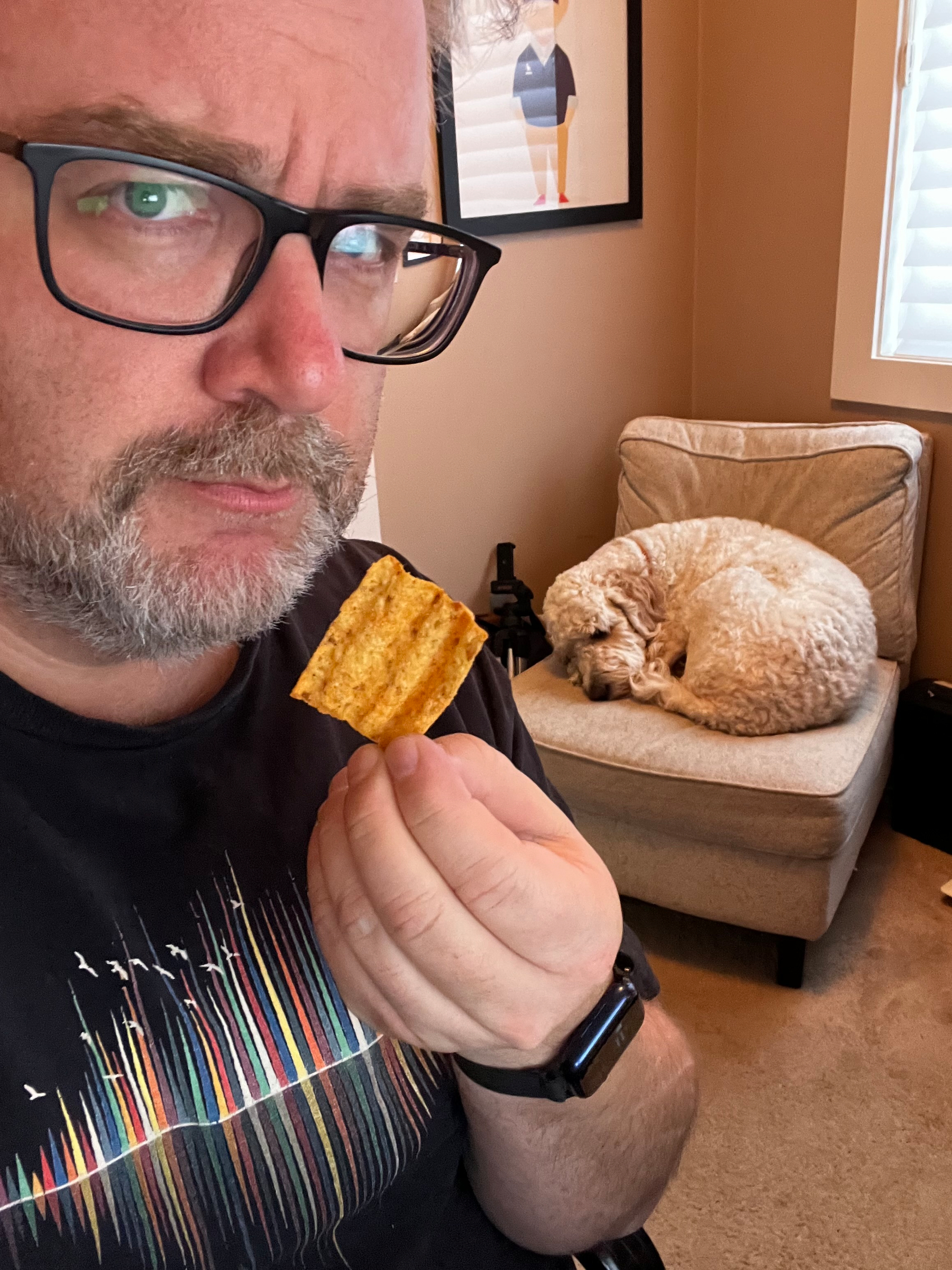 A man wearing glasses holds a ridged potato chip while a curly-haired dog sleeps curled up on a cushioned chair in the background.