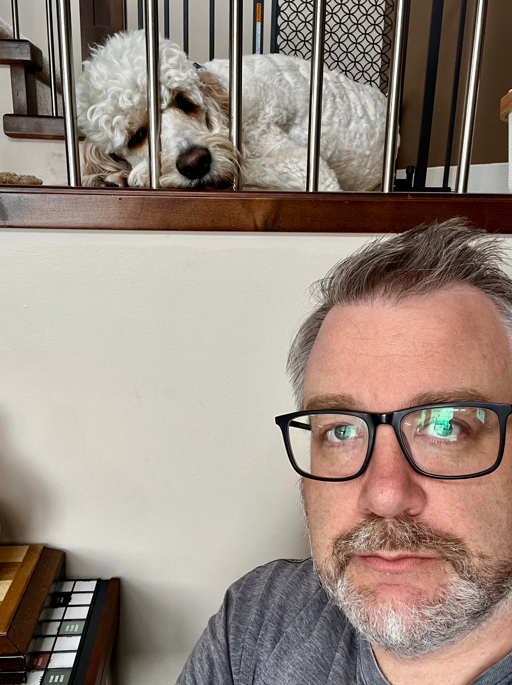 A man with glasses is sitting below a staircase where a dog is resting its head on the railing.