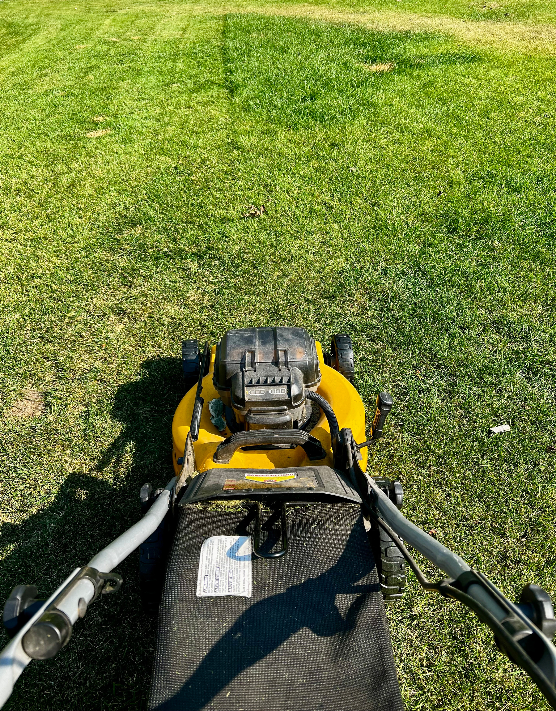 A lawn mower is being used to cut grass, showing a clear difference between the mowed and unmowed sections.