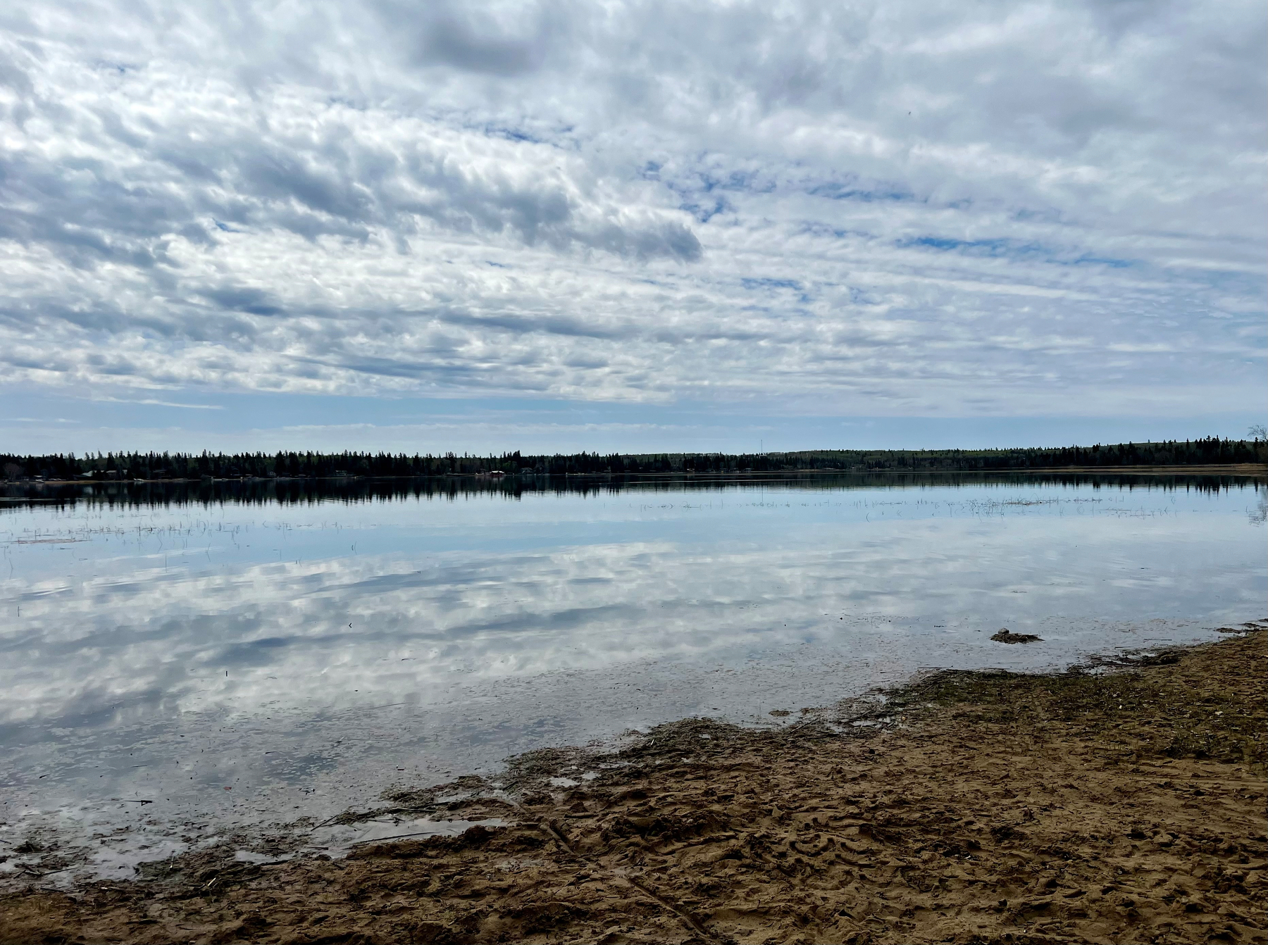A calm lake reflects the cloudy sky, bordered by a distant tree line and a sandy shore.