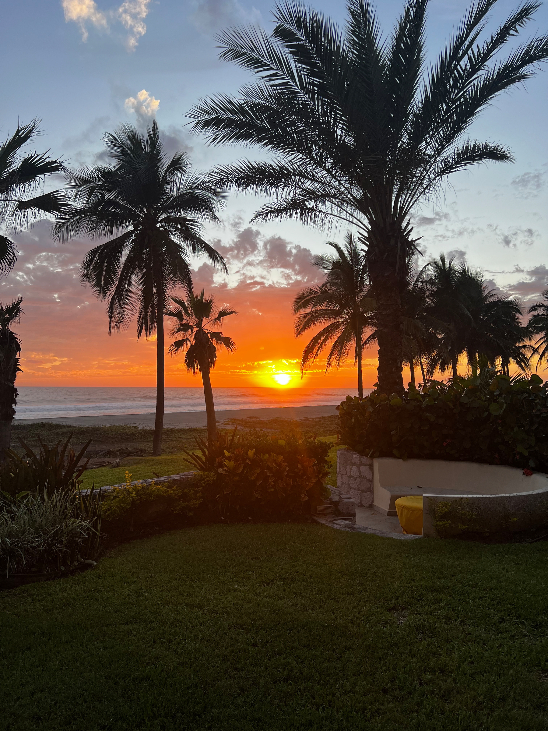 A vibrant sunset illuminates the sky behind silhouetted palm trees and lush greenery.