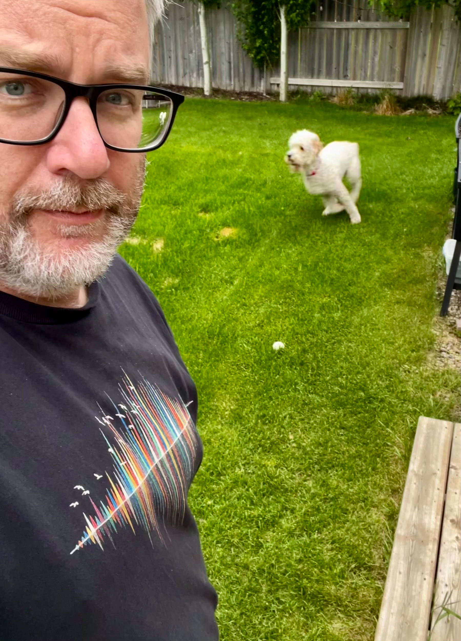 A bearded man wearing glasses and a creative black t-shirt stands in a backyard while a white dog runs in the grass behind him.