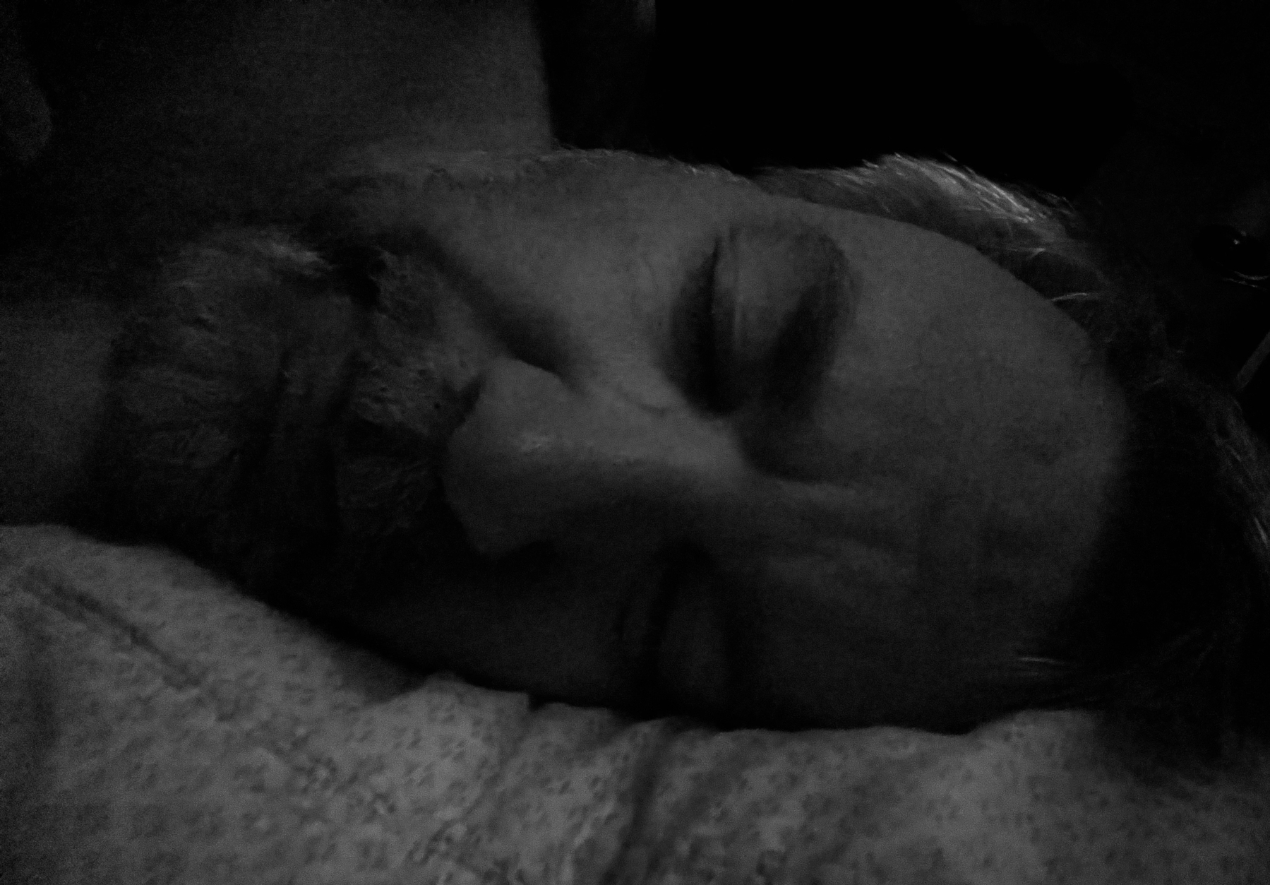 A person with a mustache and beard is lying down with their eyes closed, resting their head on a pillow.
