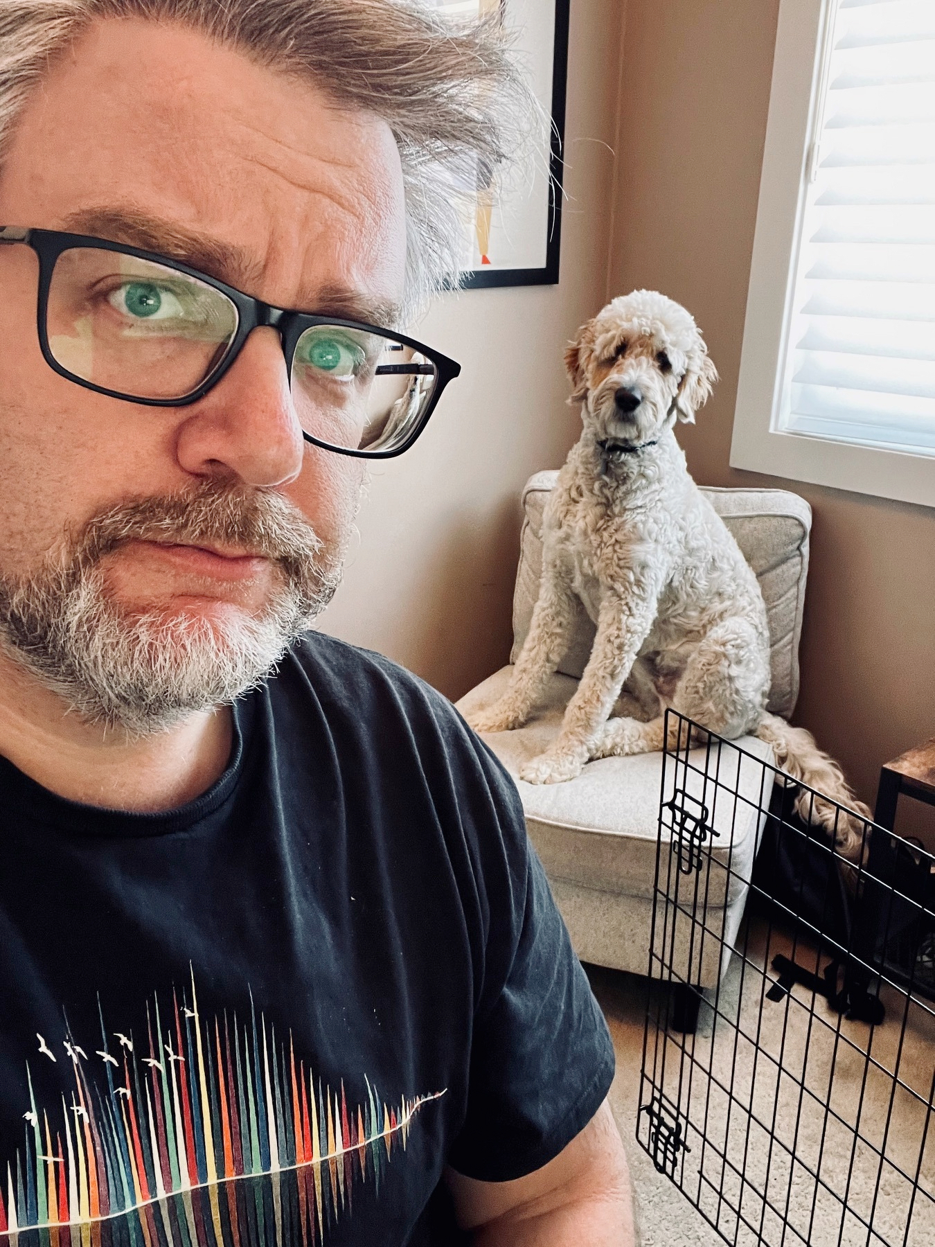 A person with glasses looks at the camera while a white dog sits on a chair in the background.