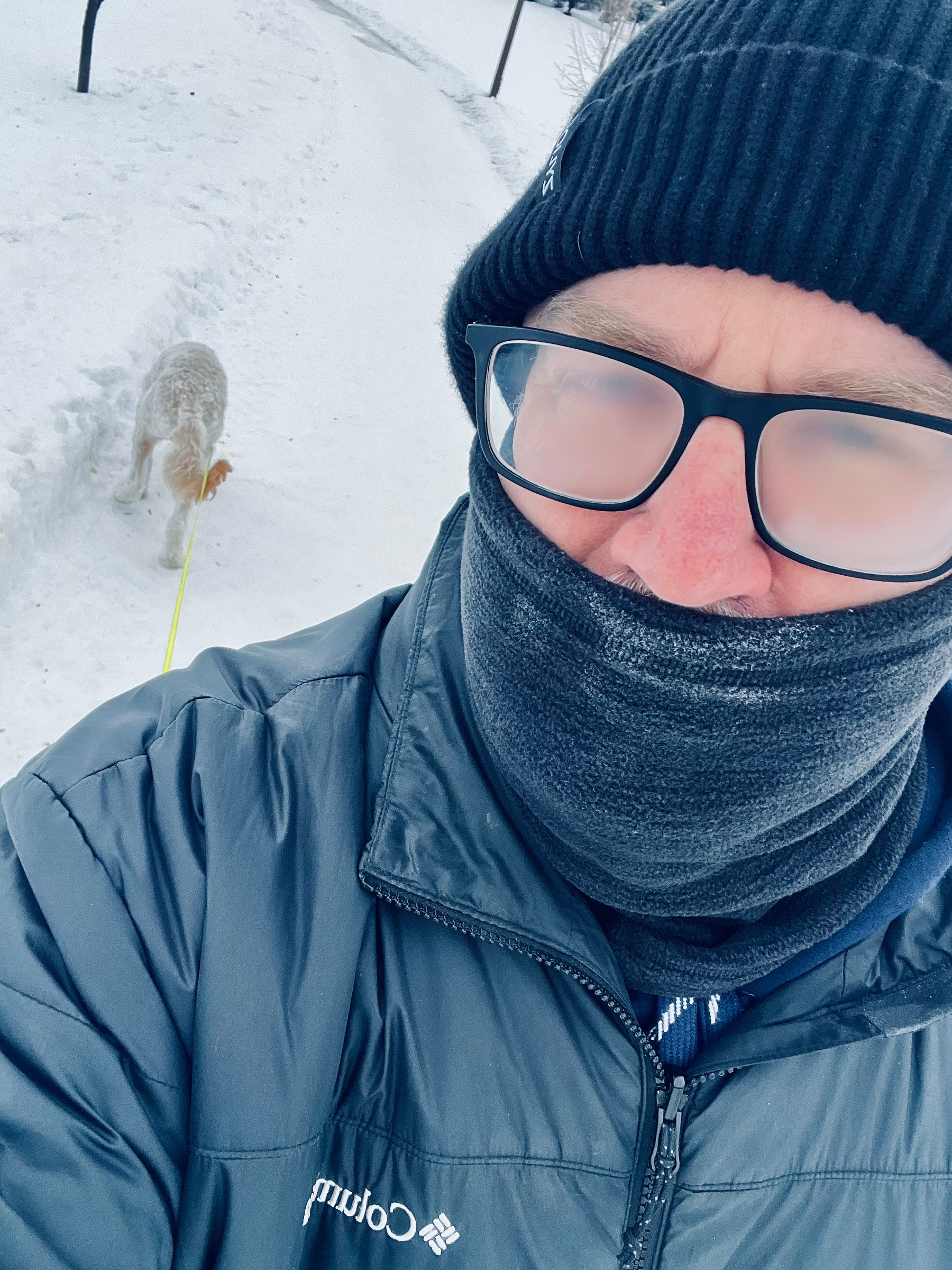 A person bundled in winter clothing is walking a dog on a snowy path.