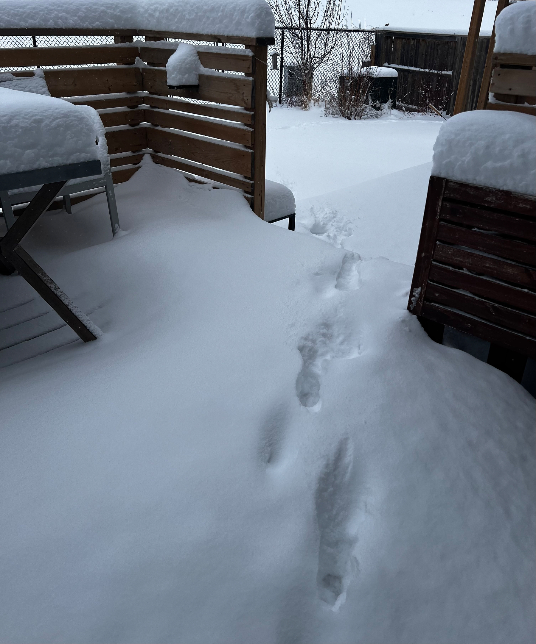 Snow-covered outdoor area with a set of footprints leading through the deep snow.