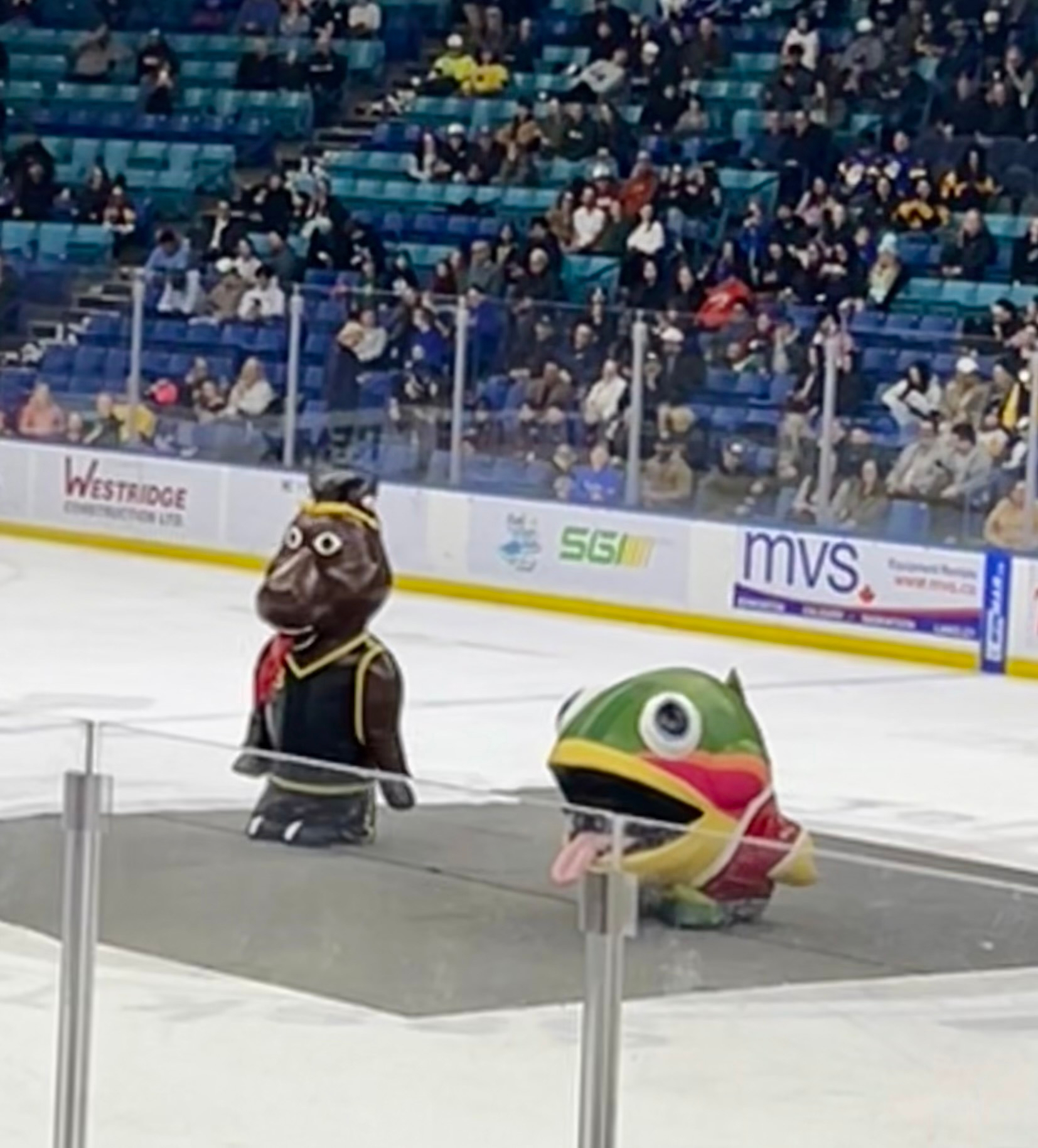 A hockey rink features two animal mascots, an otter and a fish, entertaining the audience.