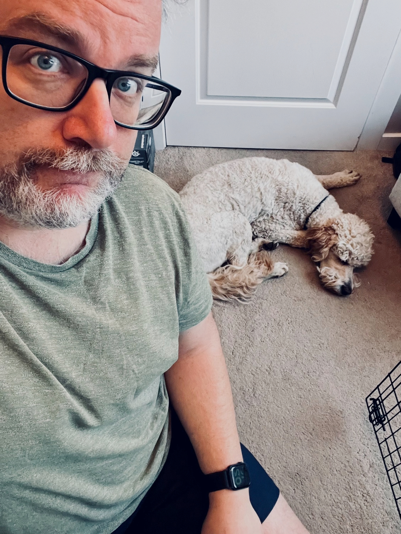 A person with glasses and a beard is sitting indoors while a fluffy dog rests on the carpet nearby.