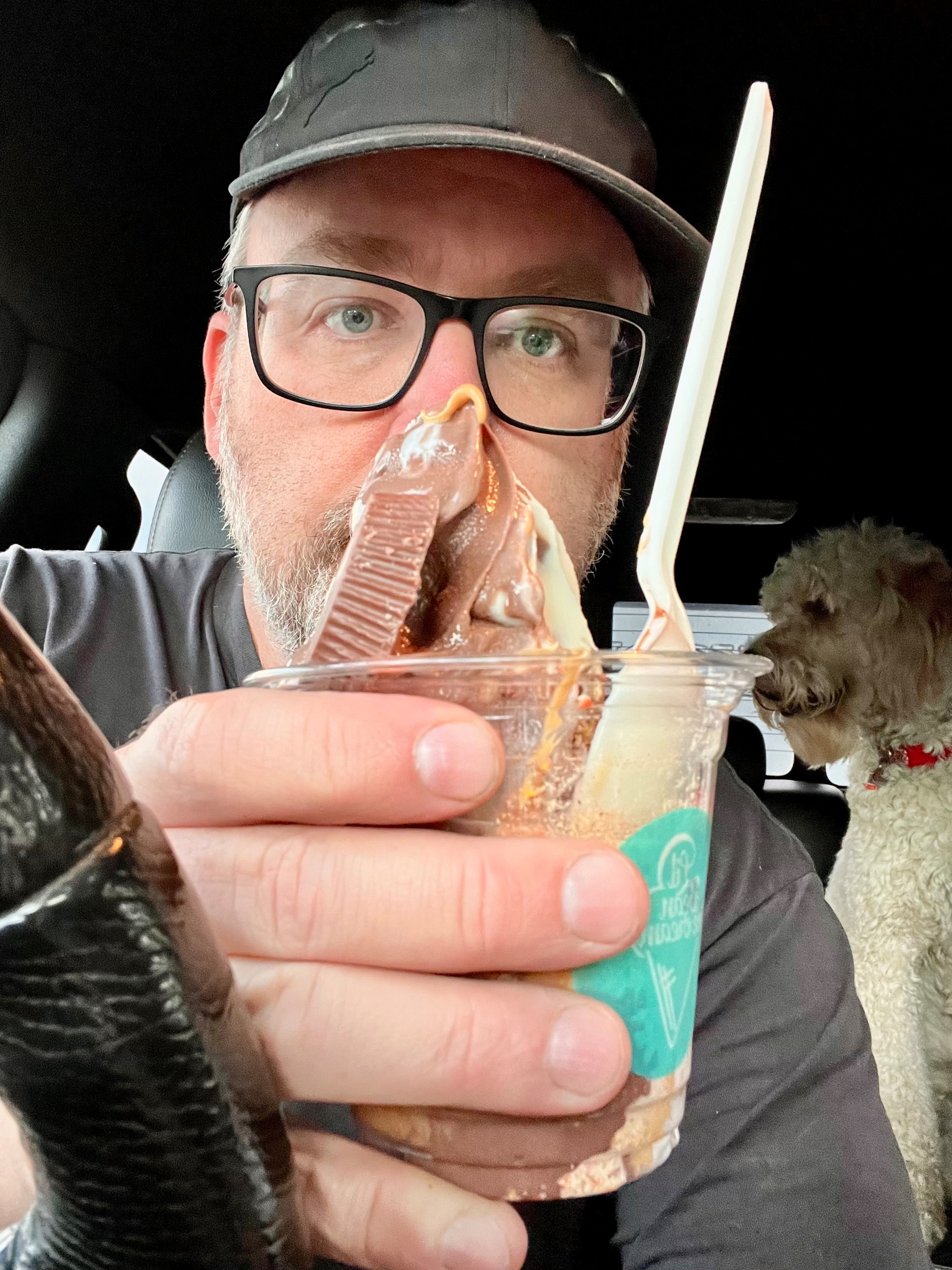 A person is holding a chocolate and vanilla ice cream cup with a dog sitting in the background inside a vehicle.