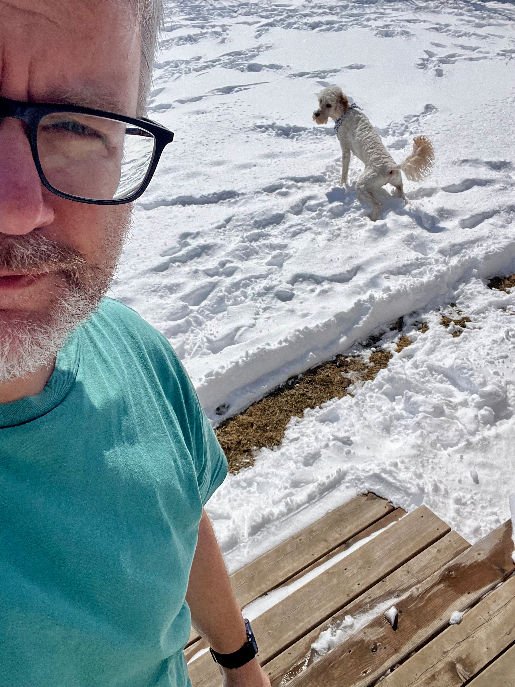 A person wearing glasses takes a selfie outdoors in the snow, with a dog standing in the background.
